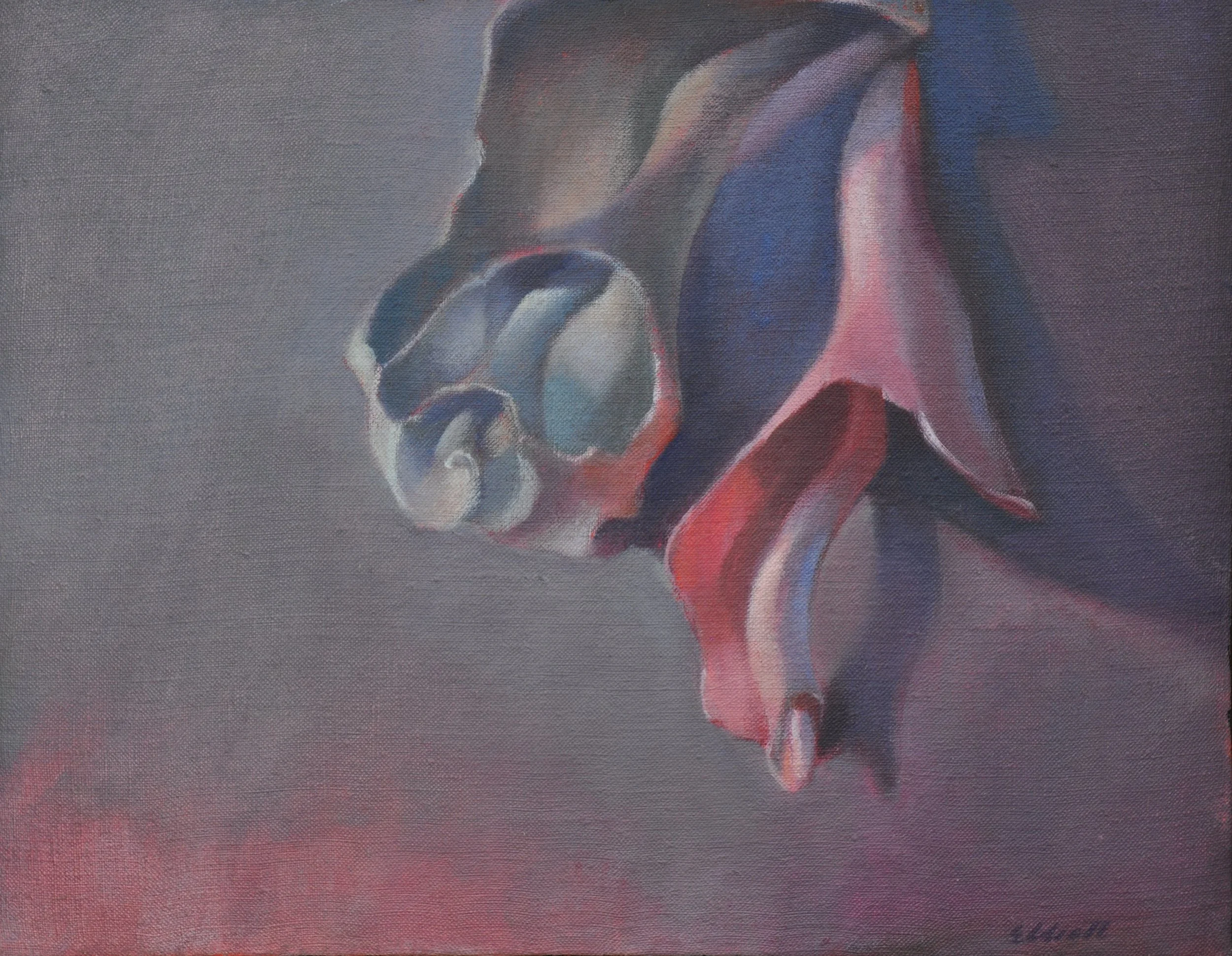 Whelk Fragments 14 x 11 $450