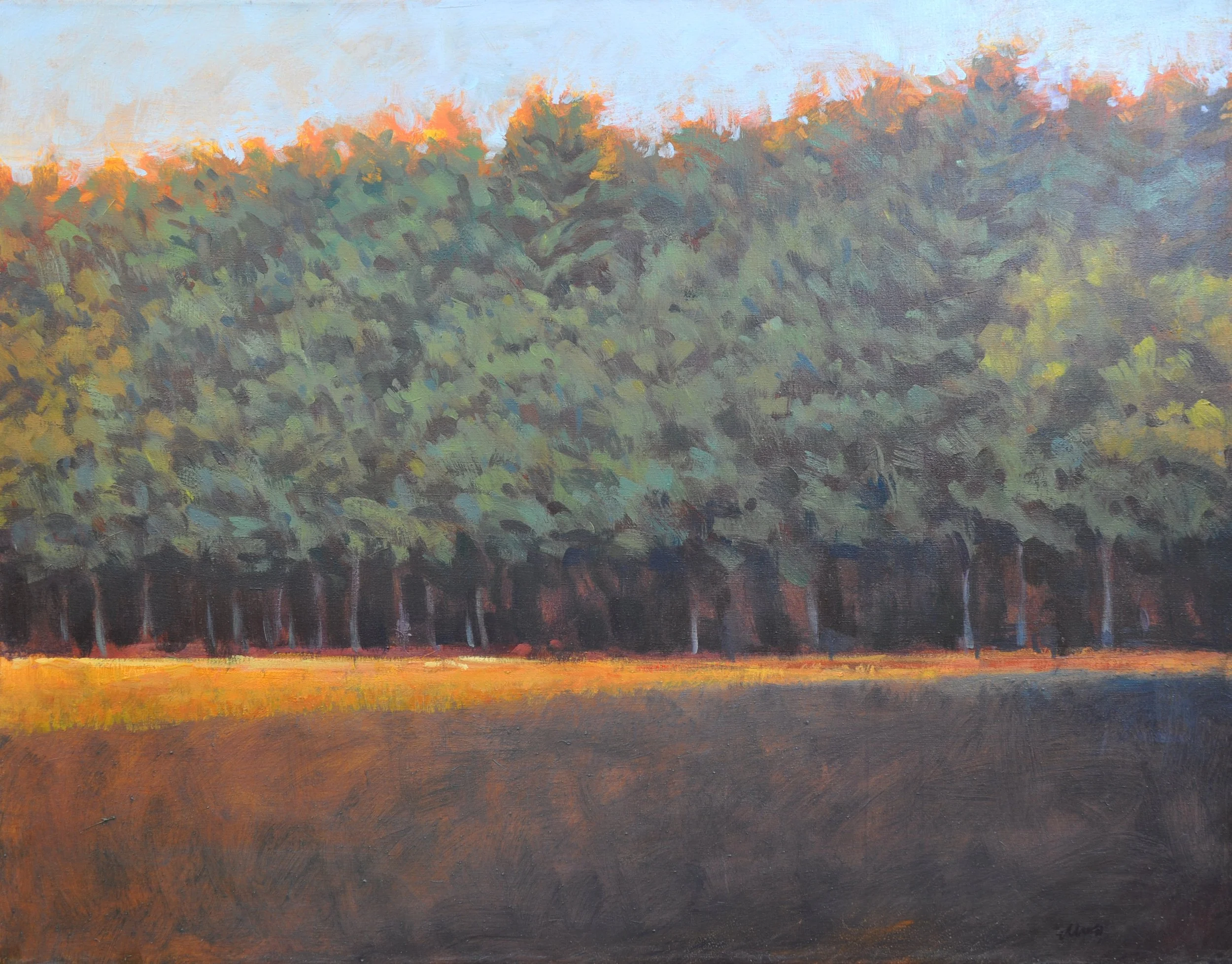 Trees 46 x 36 $2000
