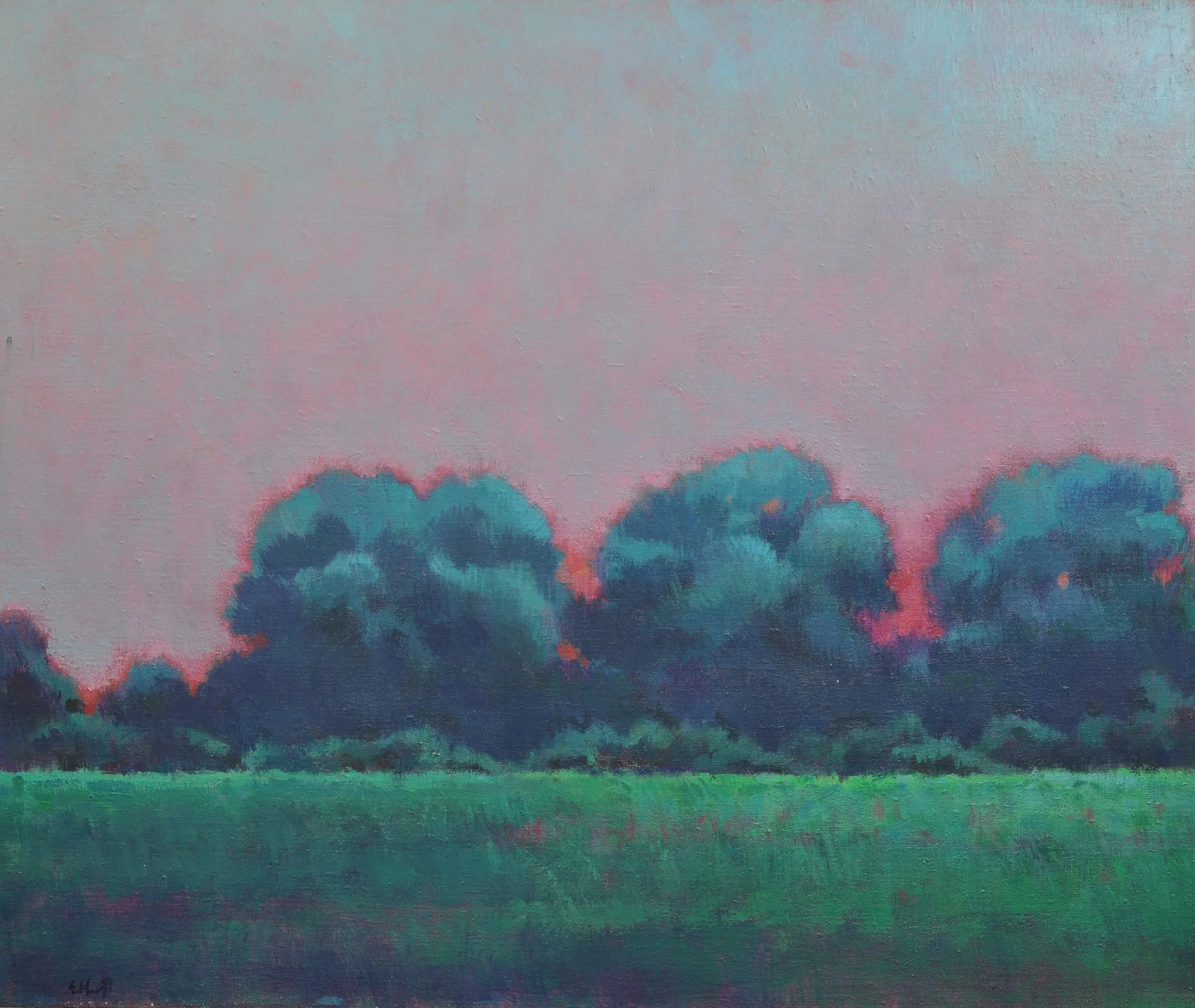 Plum Sky 36 x 30 $1400