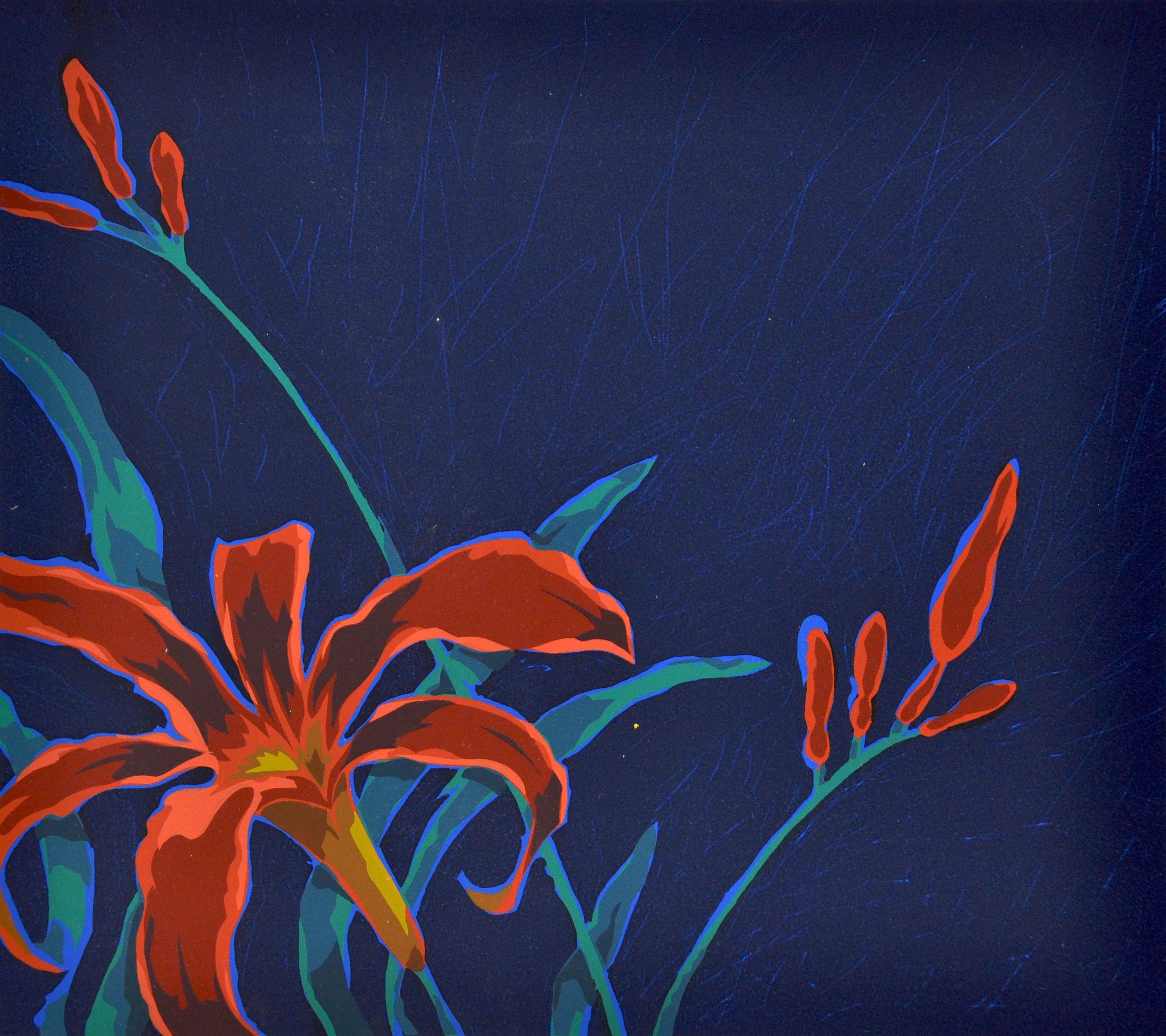 Night Lily 11.5 x 13