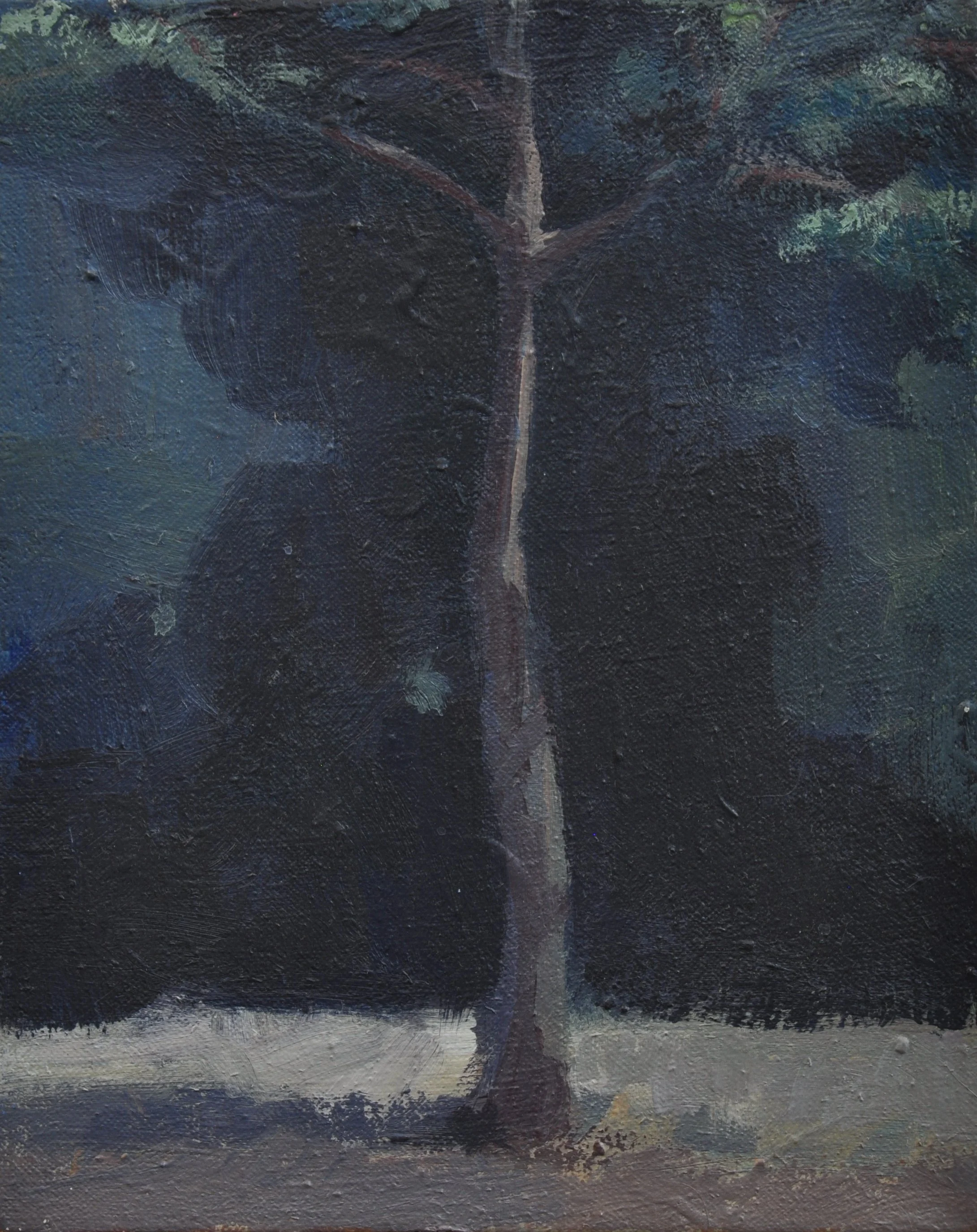 untitled XX 8 x 12 $400