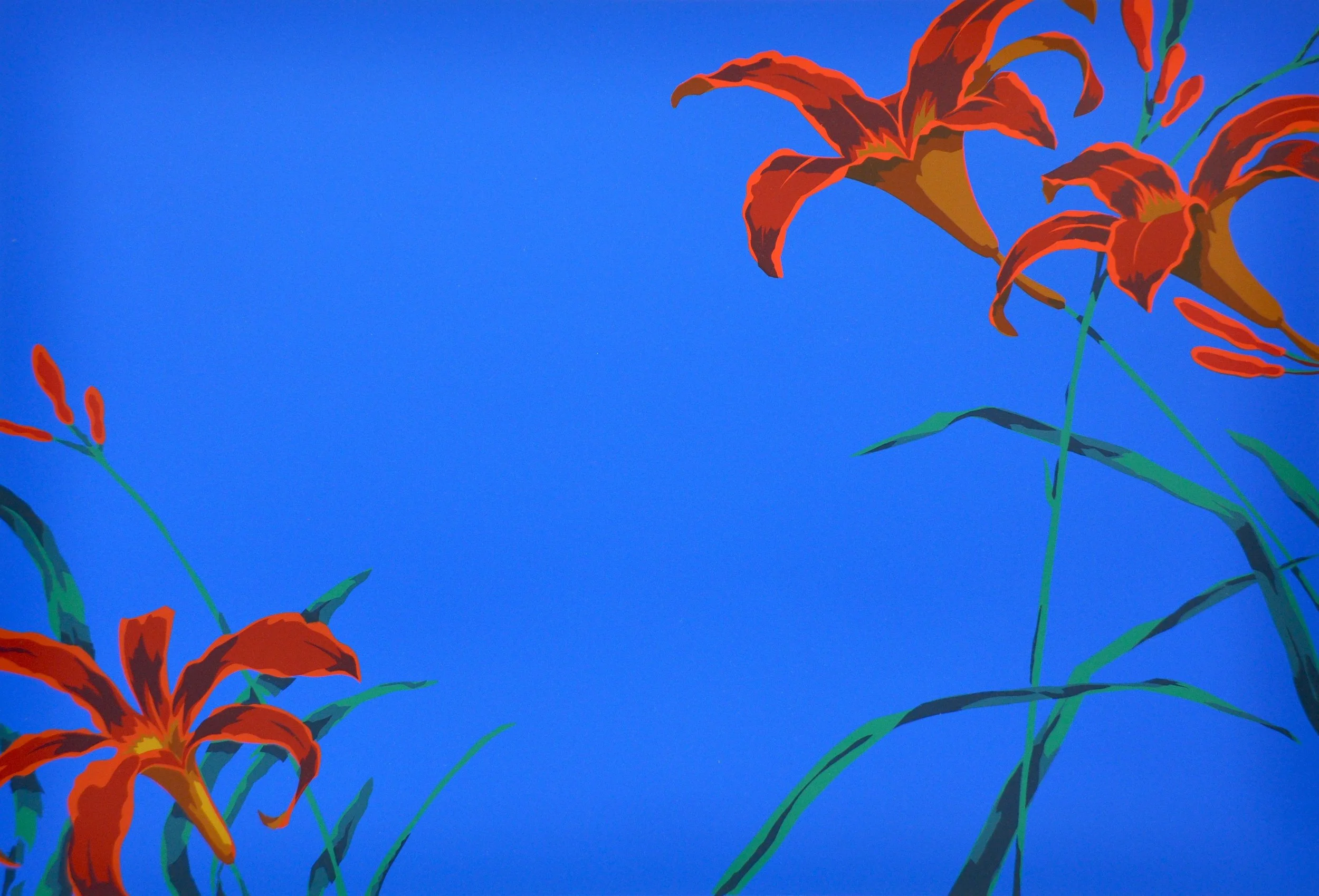 (Tiger) Lilies 17.5 x 23.5