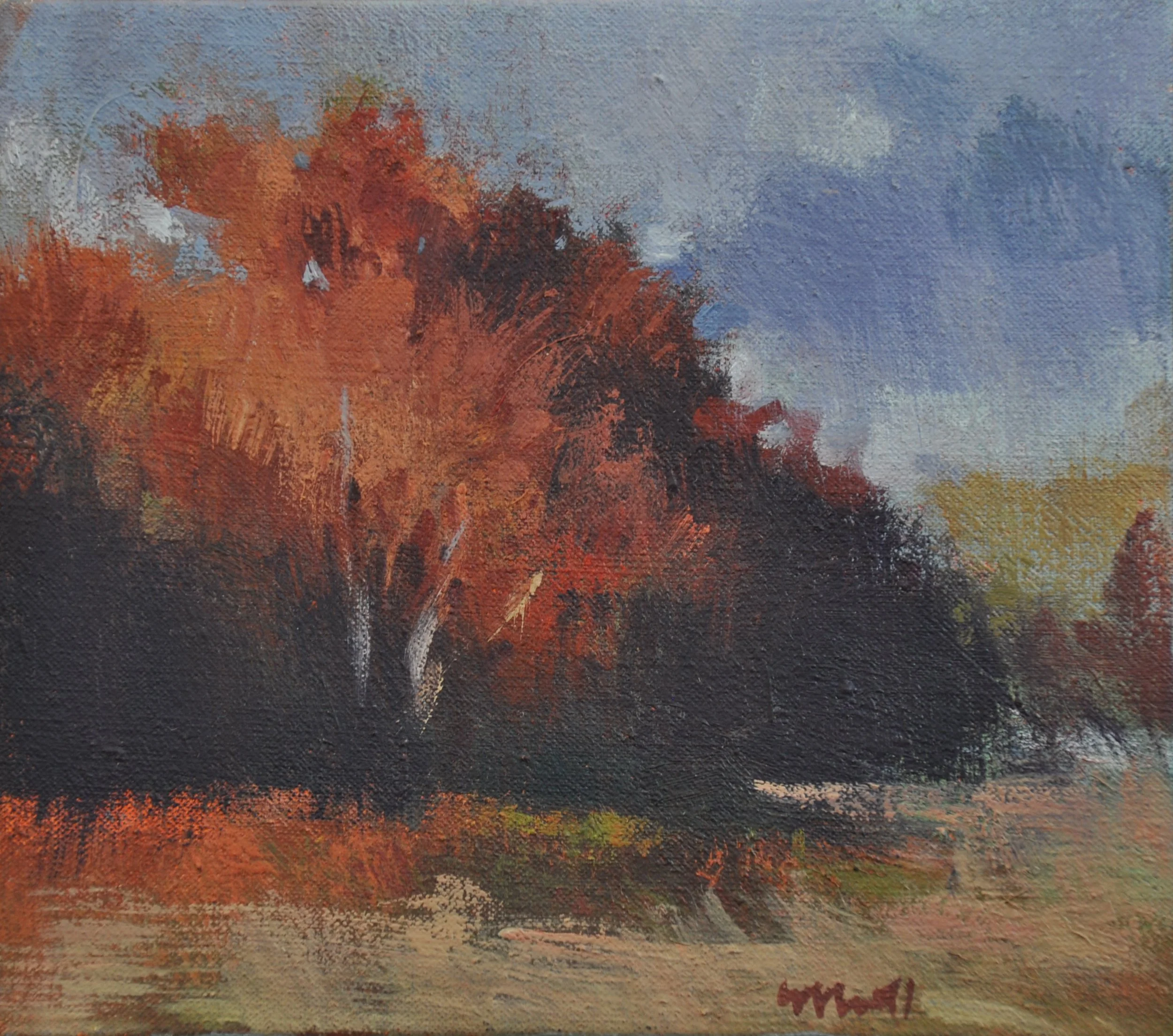 Change of Color 9 x 8 $375