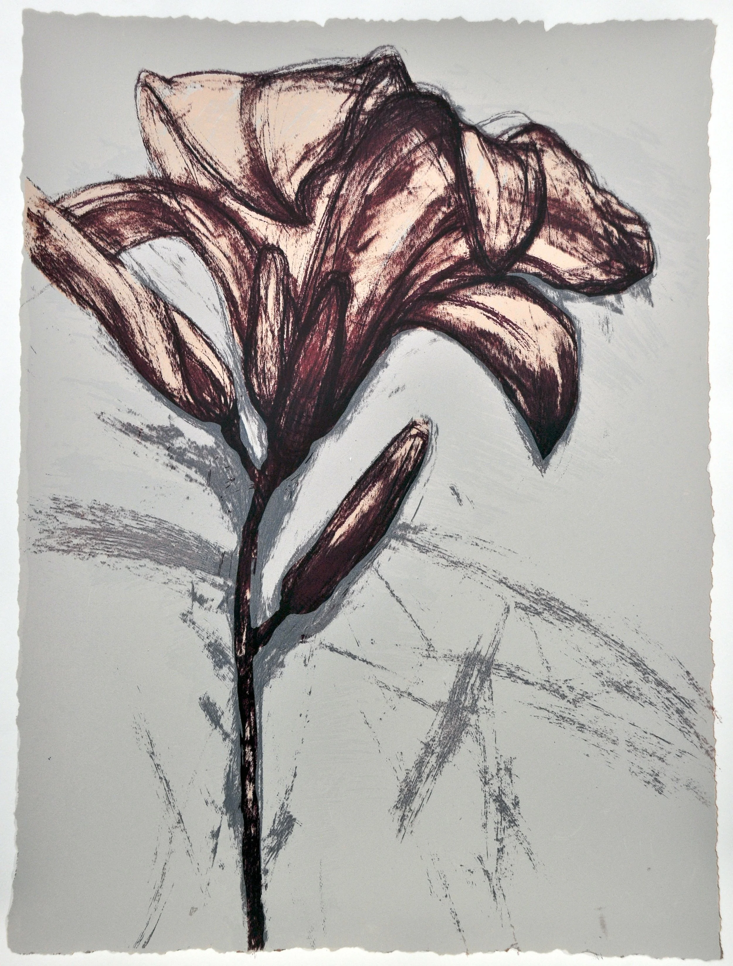 Lily #6 17.5 x 23.5