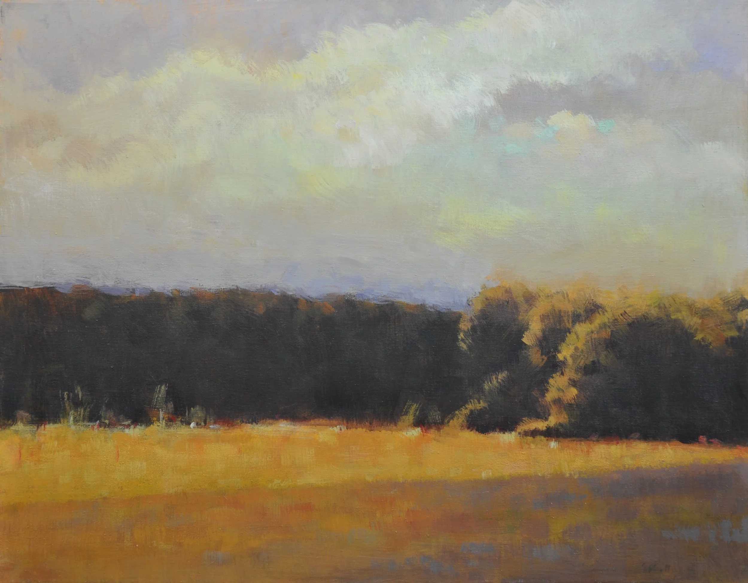 Afternoon Shadows 46 x 36 $2000