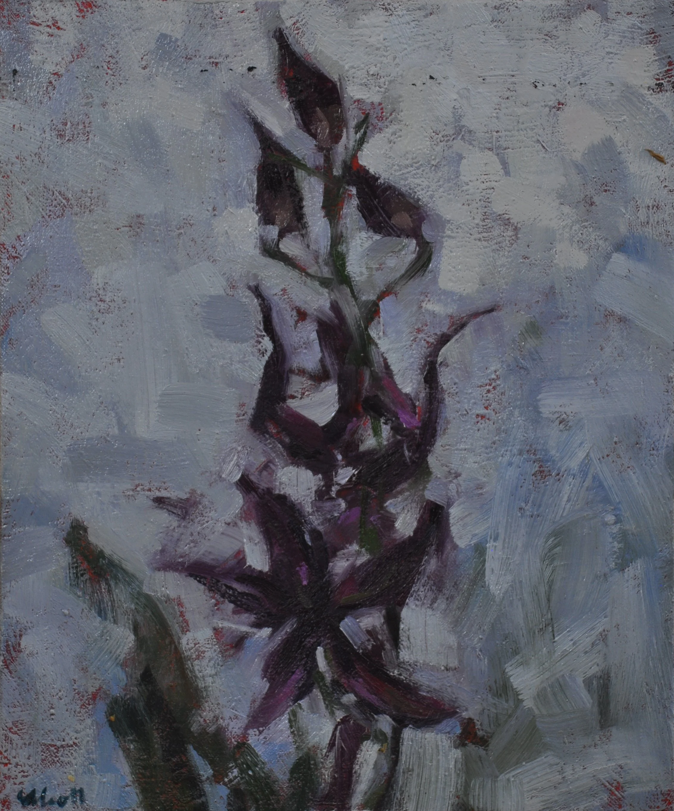Orchid #2 10 x 12 $425