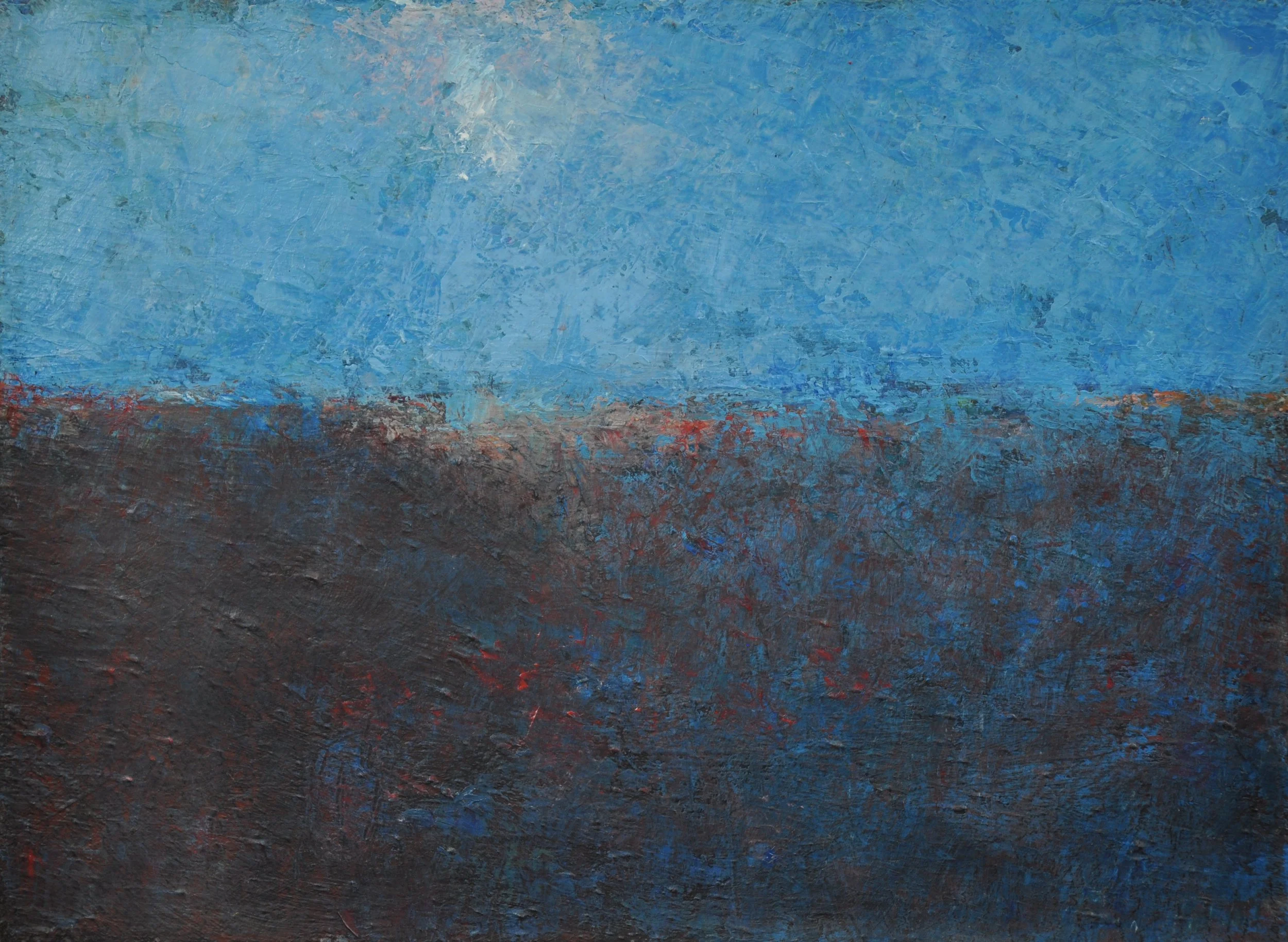 untitled 3K 16 x 12 $500