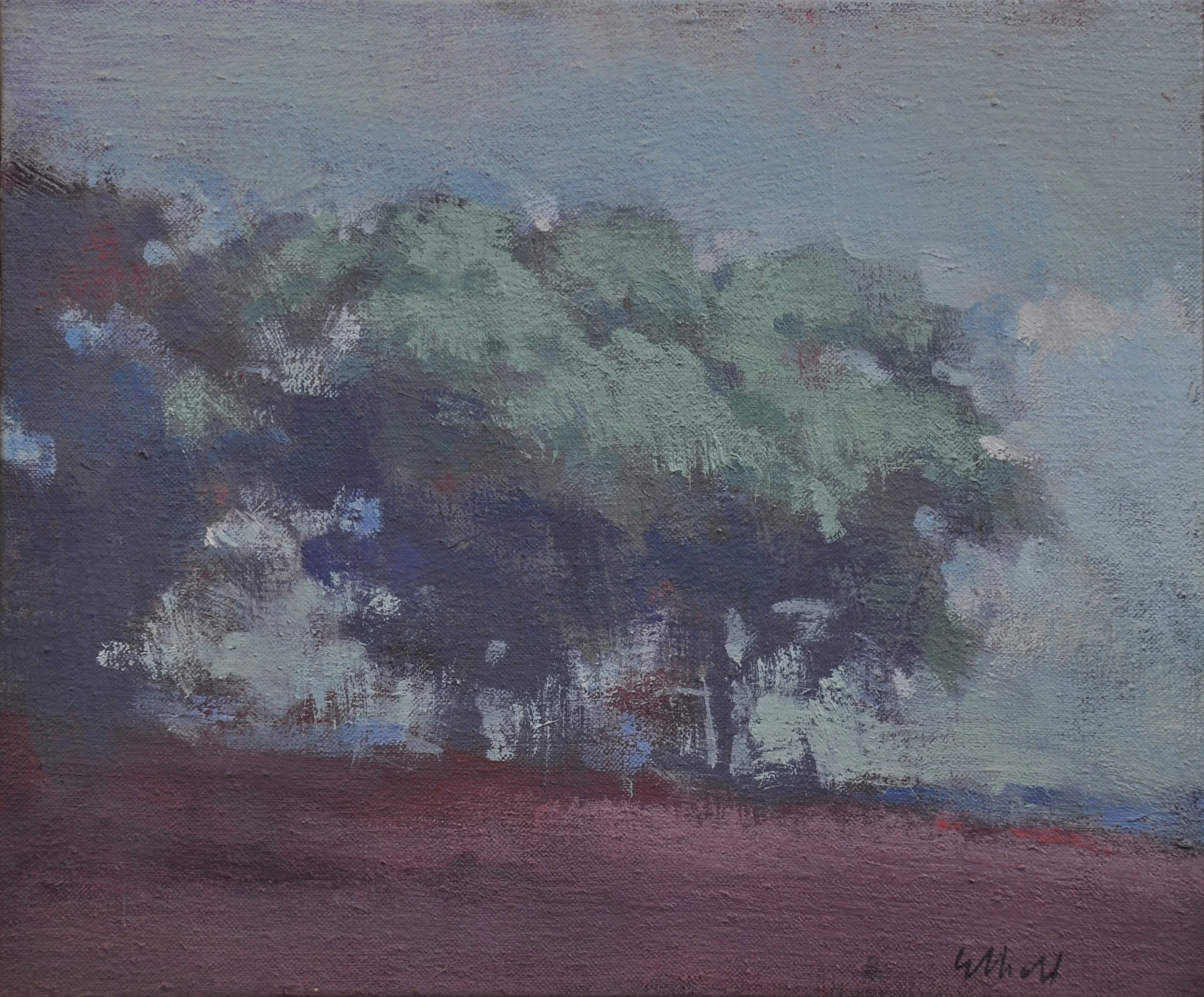 Trees in Fog 12 x 10 $425