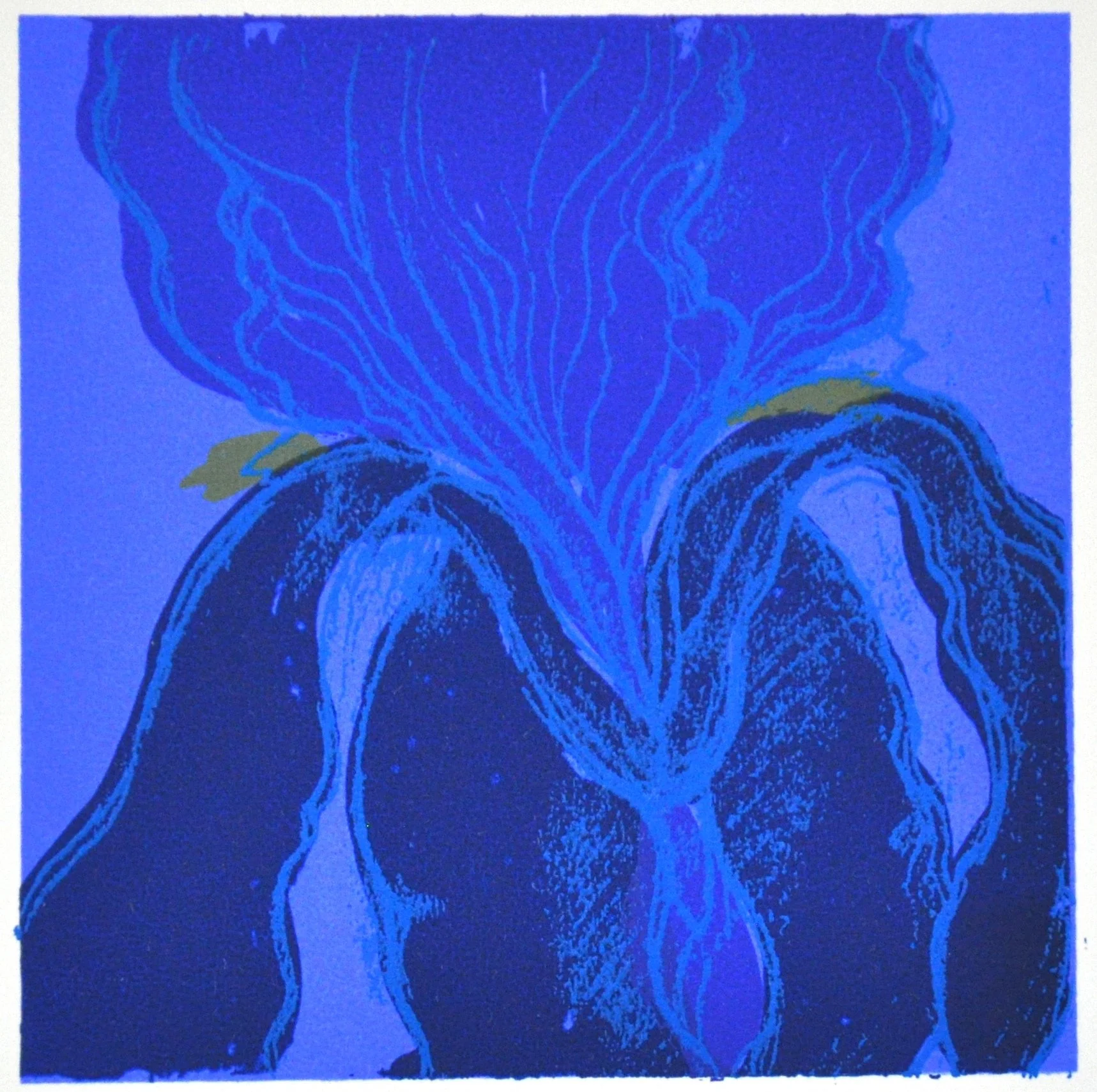 Iris (with Yellow) 4 x 4