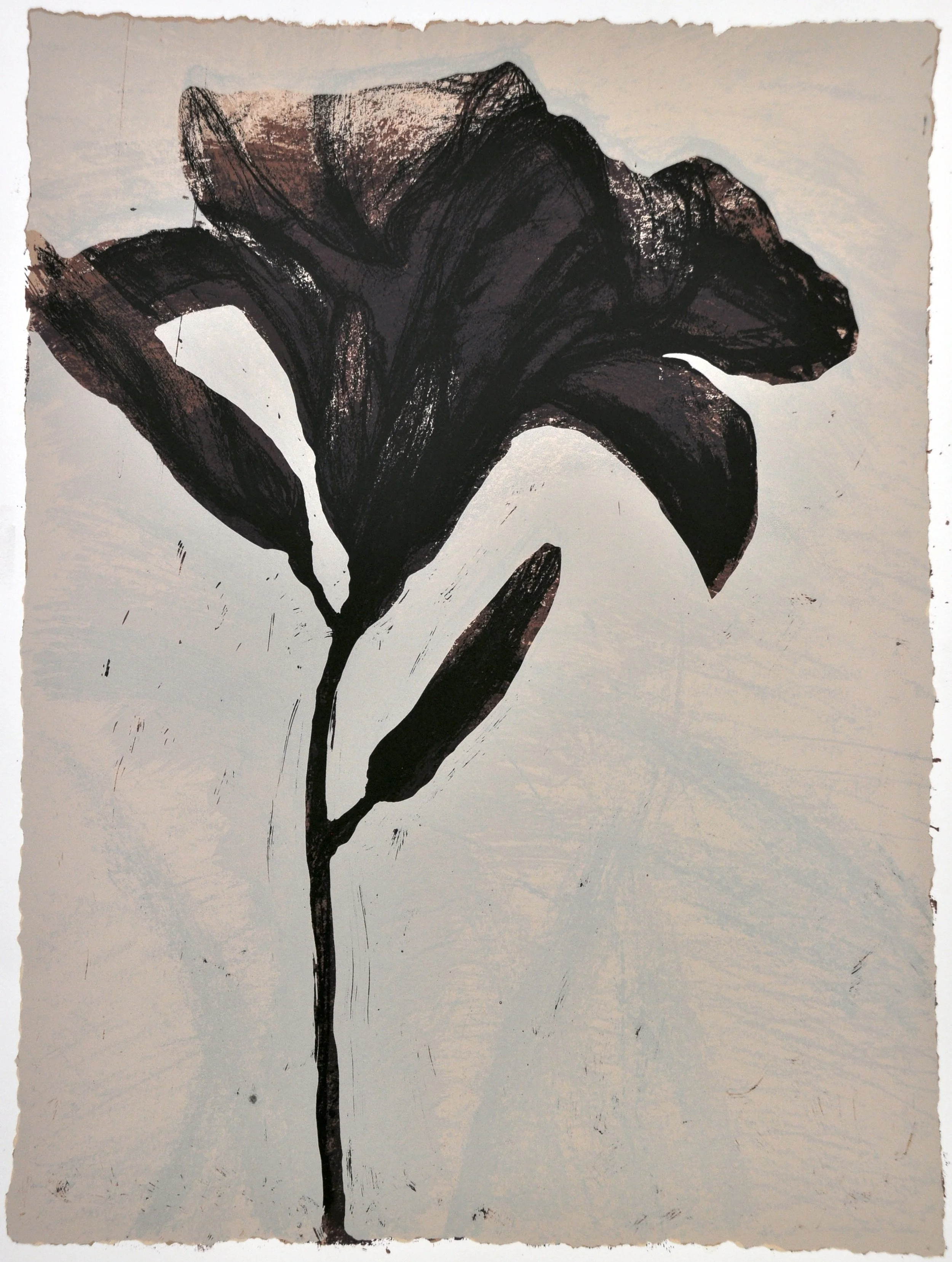 Lily #8 17.5 x 23.5