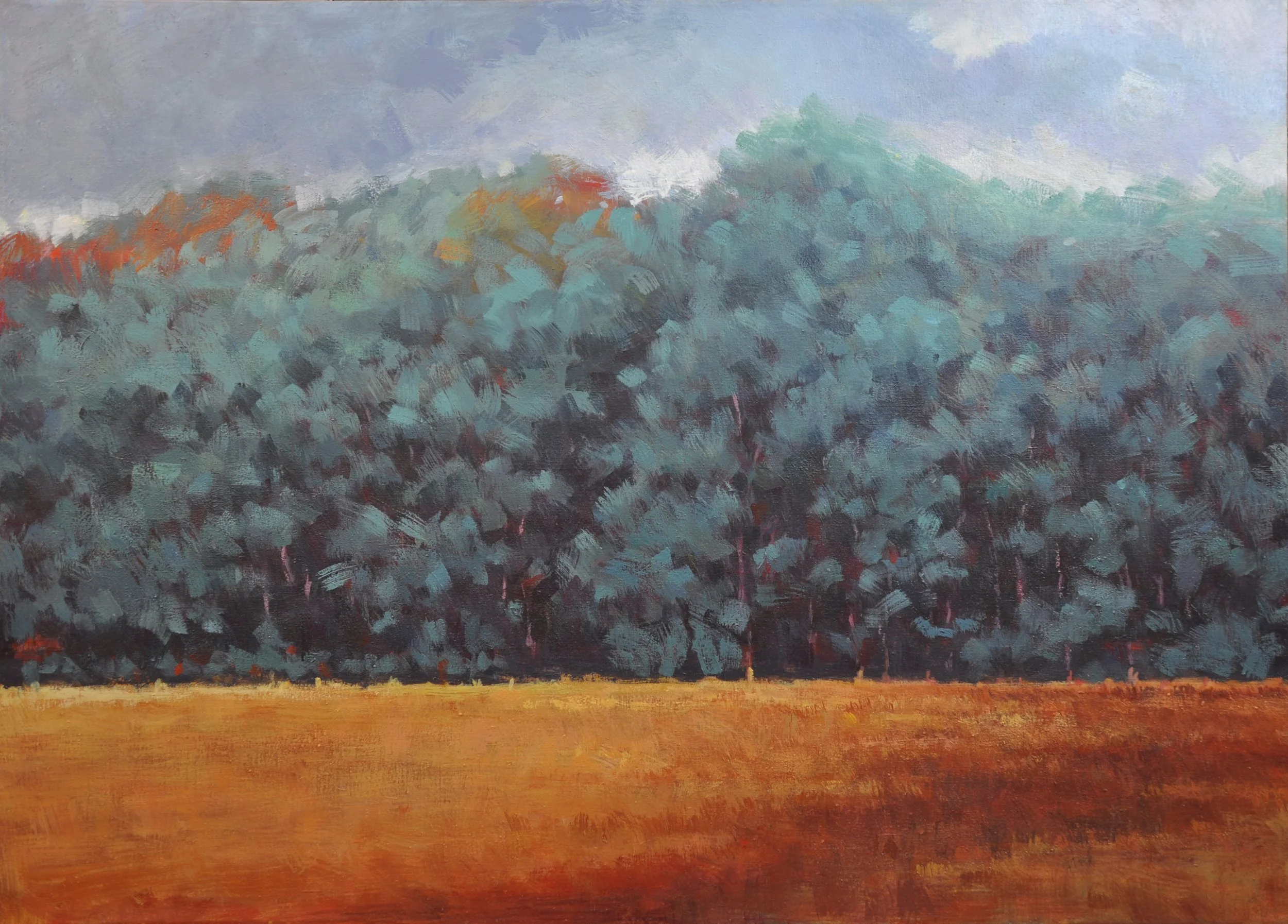 Windy Field 50 x 36 $2200