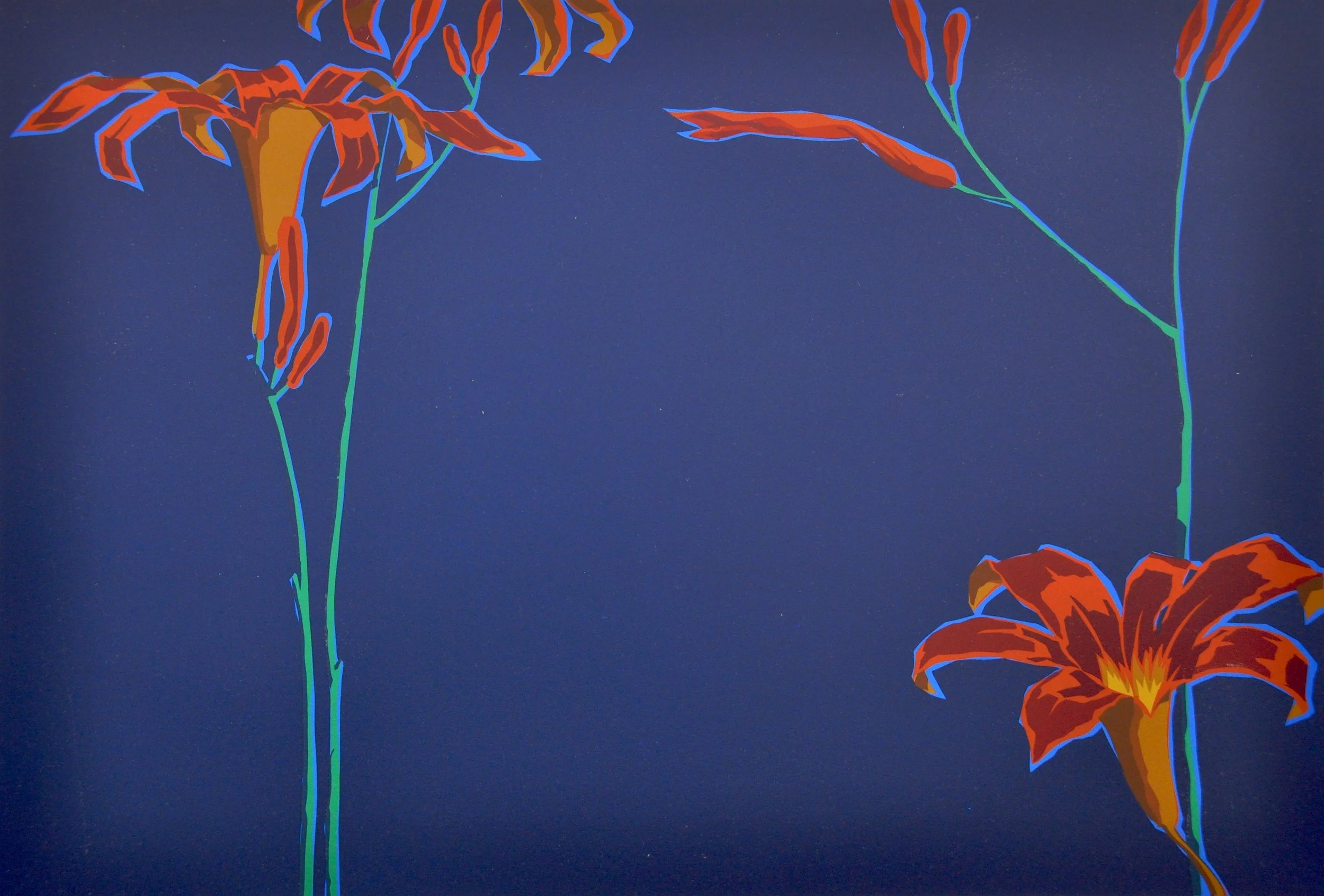 Night Bloom 17.5 x 23.5