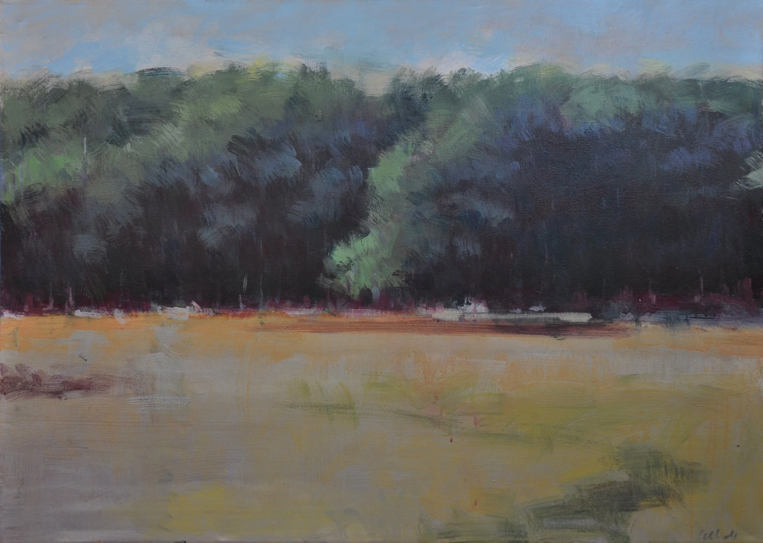 untitled 50 x 36 $2200