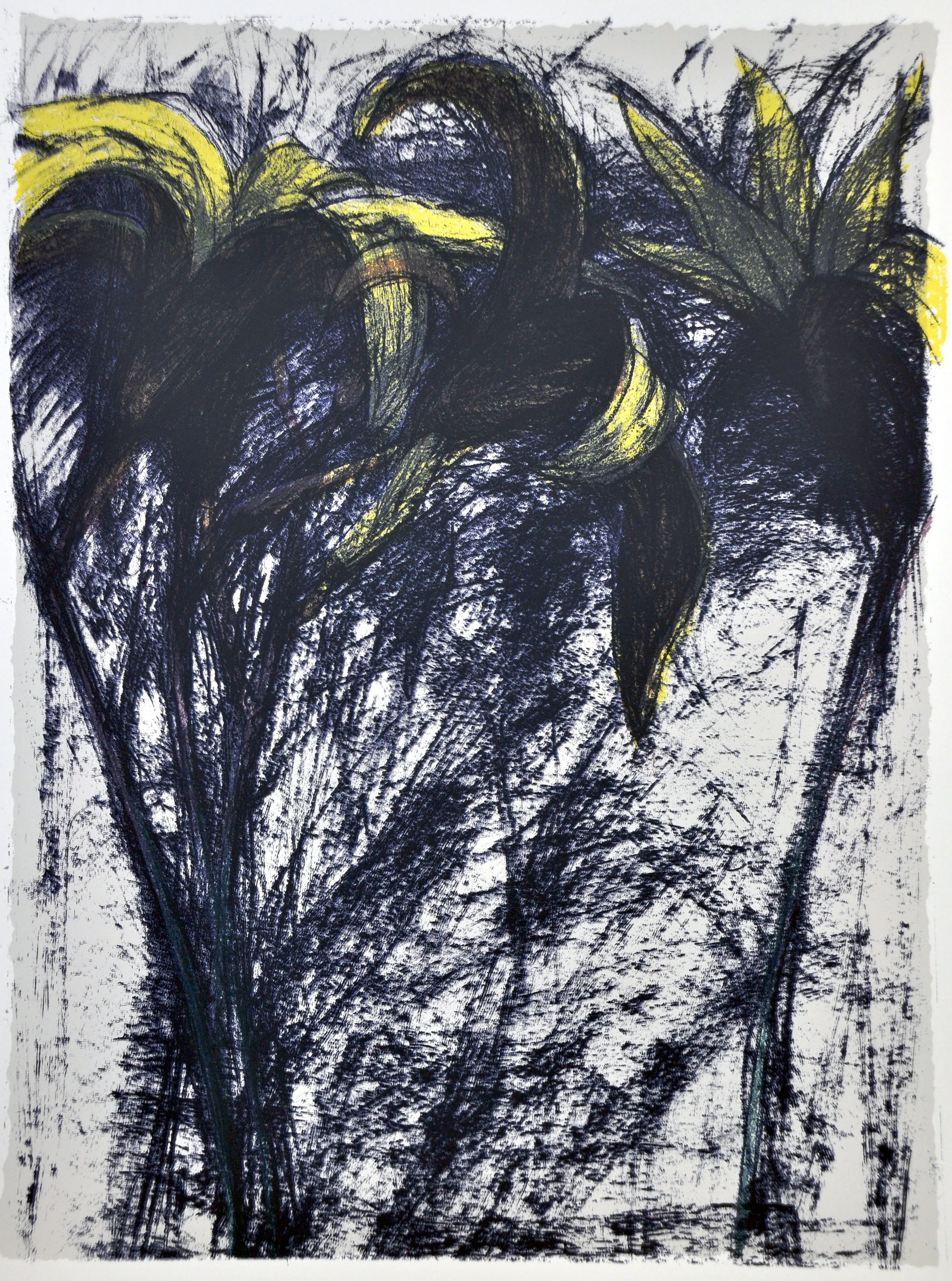 Lily #10 17.5 x 23.5