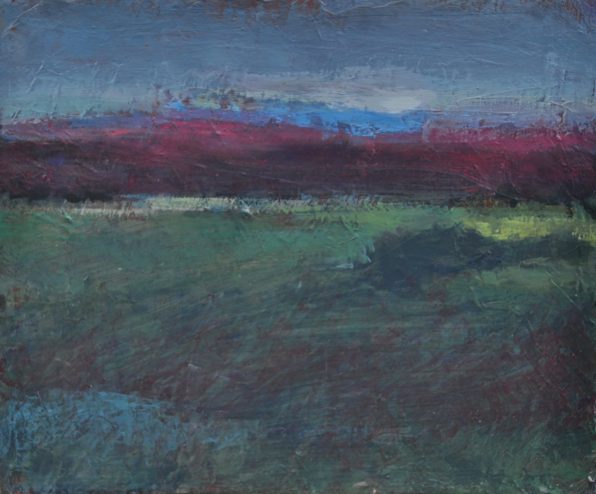 untitled DDD 12 x 10 $425