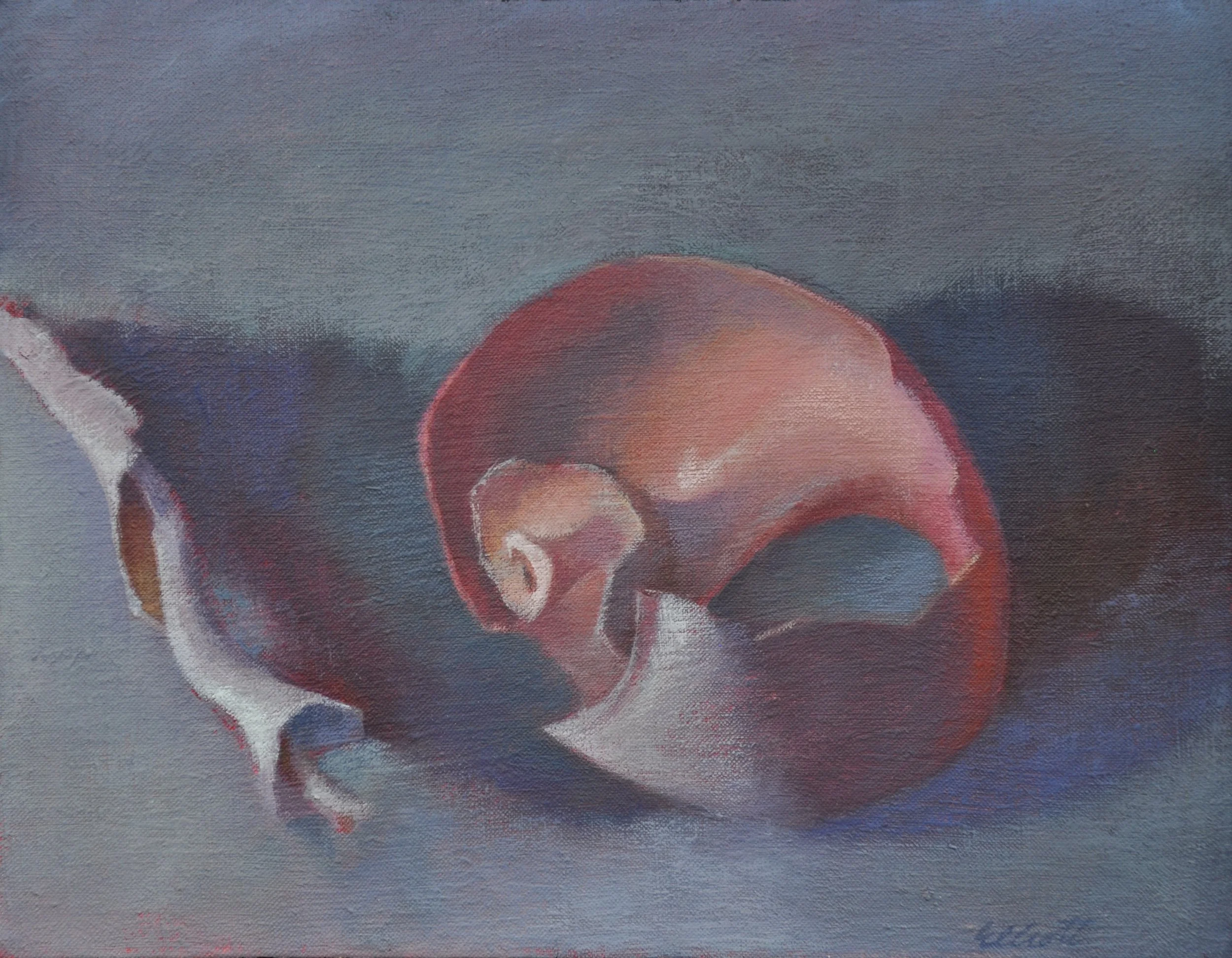 Shell Structures 14 x 11 $450