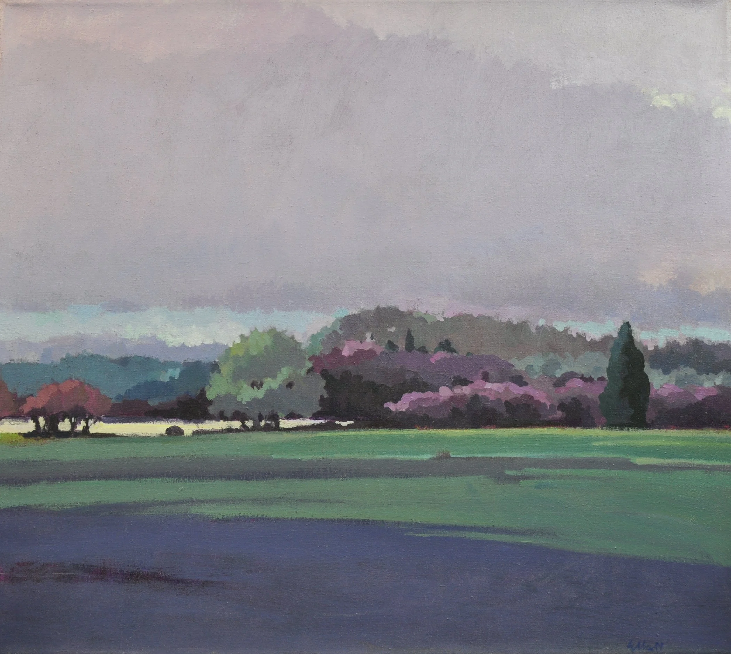 Great Pond 36 x 32 $1500