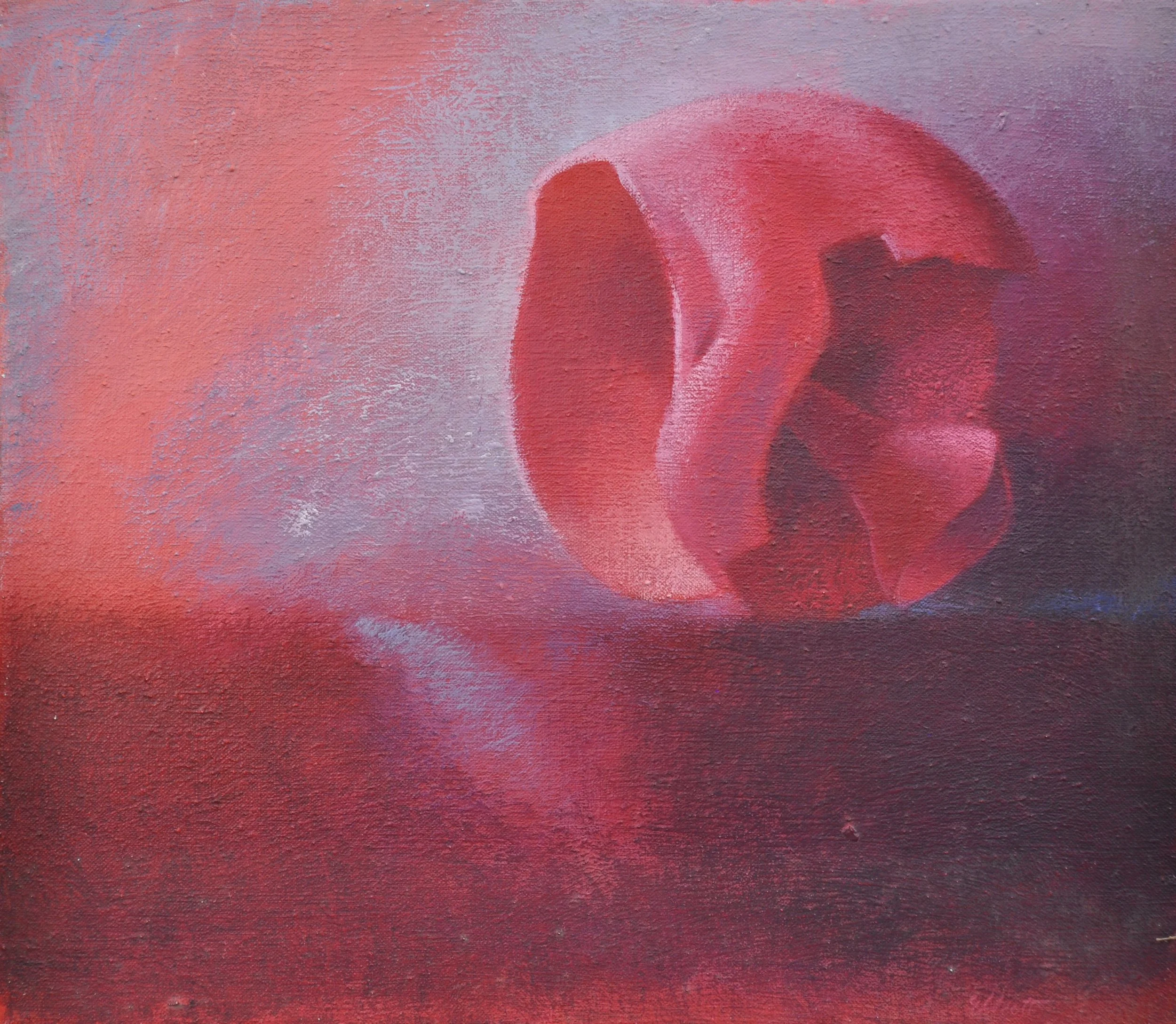 Shell Seen in Time 16 x 14 $550