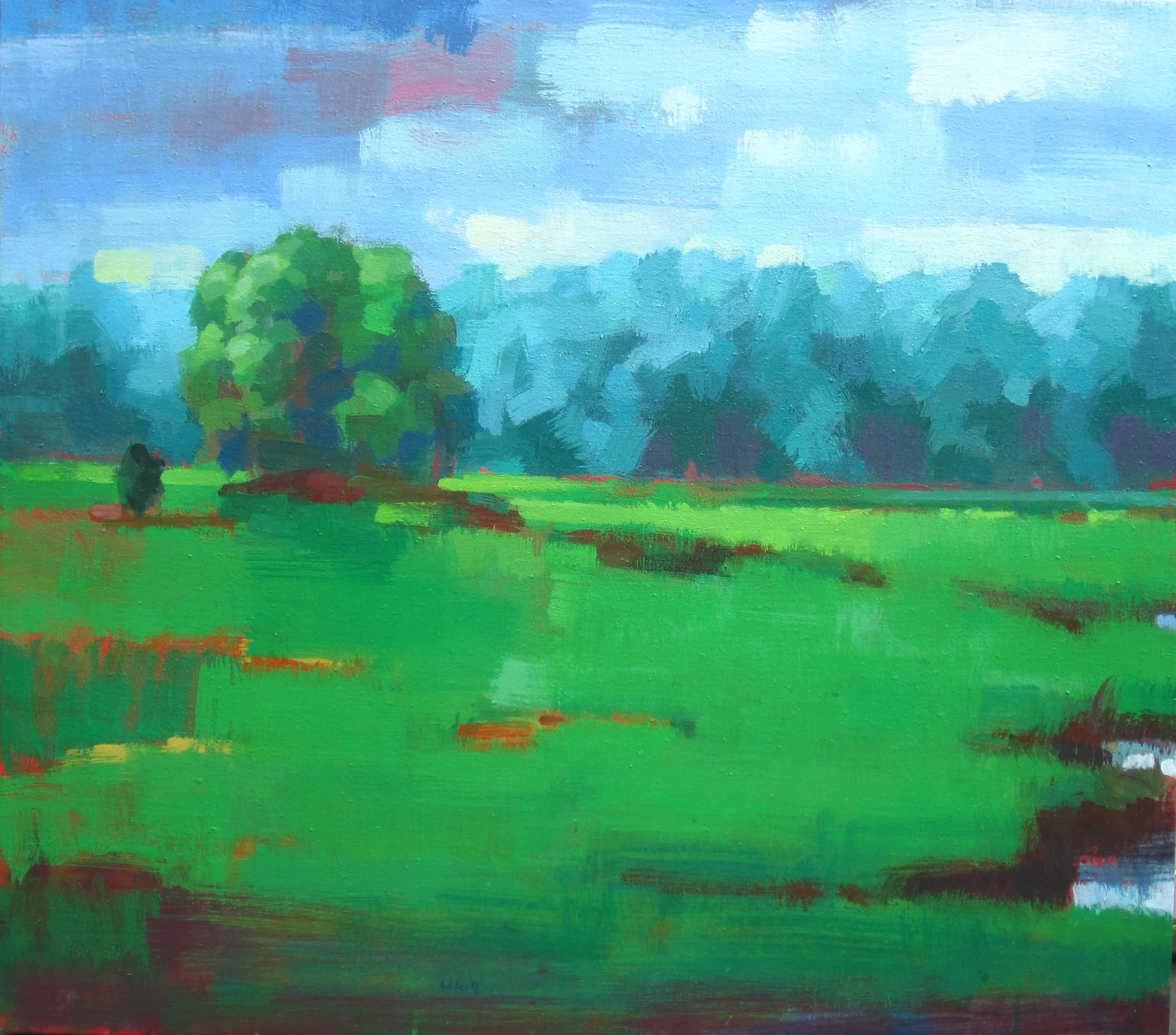 Spring Marsh 36 x 32 $1500