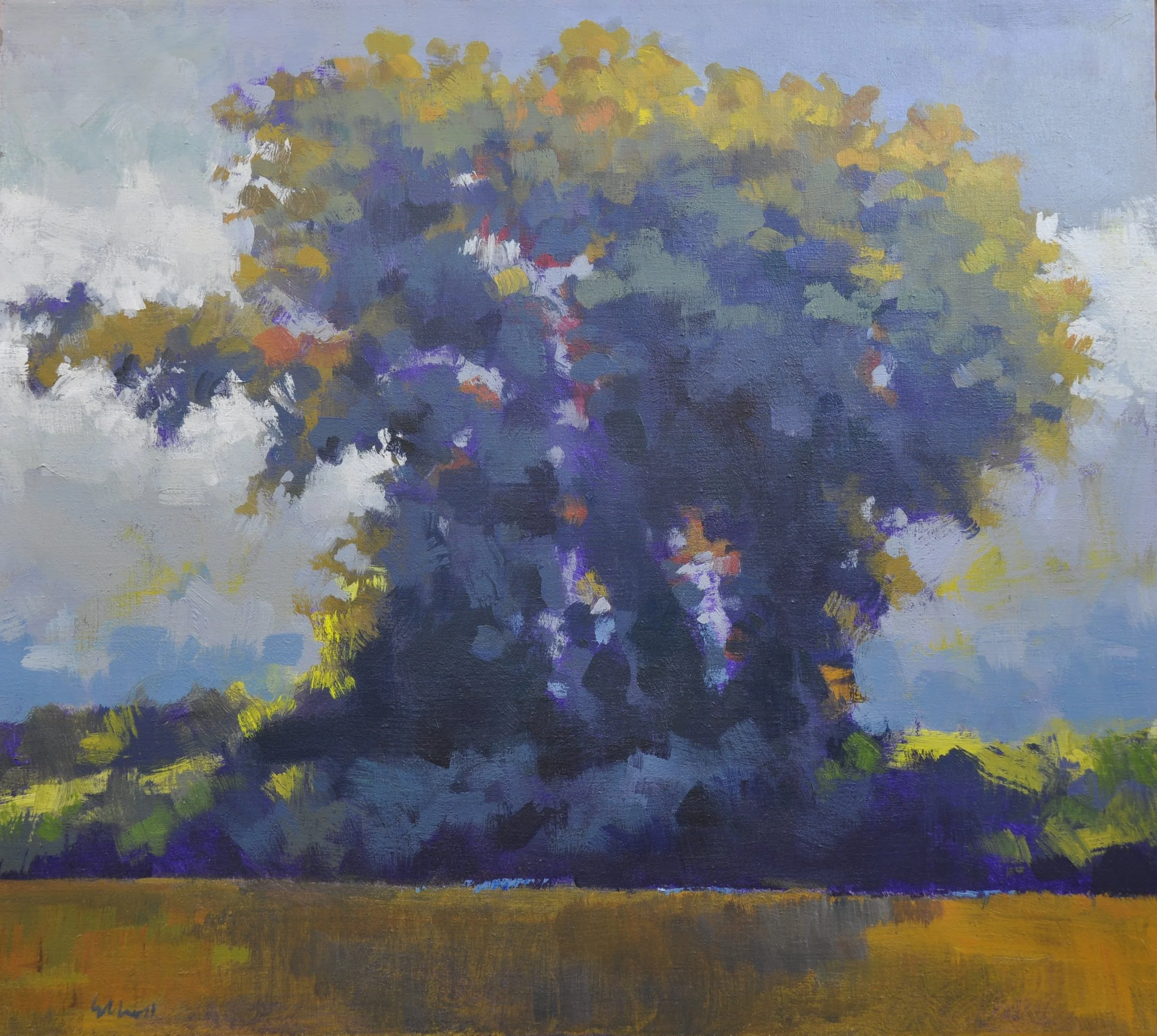 Back Lit Tree 36 x 32 $1500