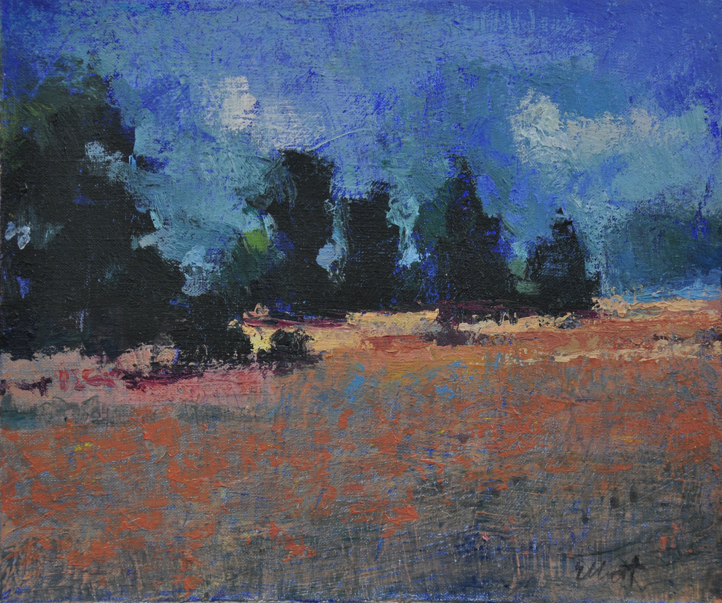 Summer Fields 12 x 10 $425