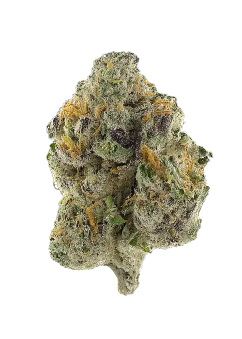 Close-up of a cannabis bud with frosty trichomes and orange pistils.