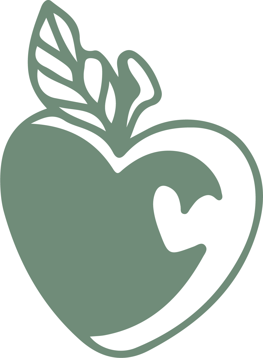 Maureen Walsh Real Food Real Life