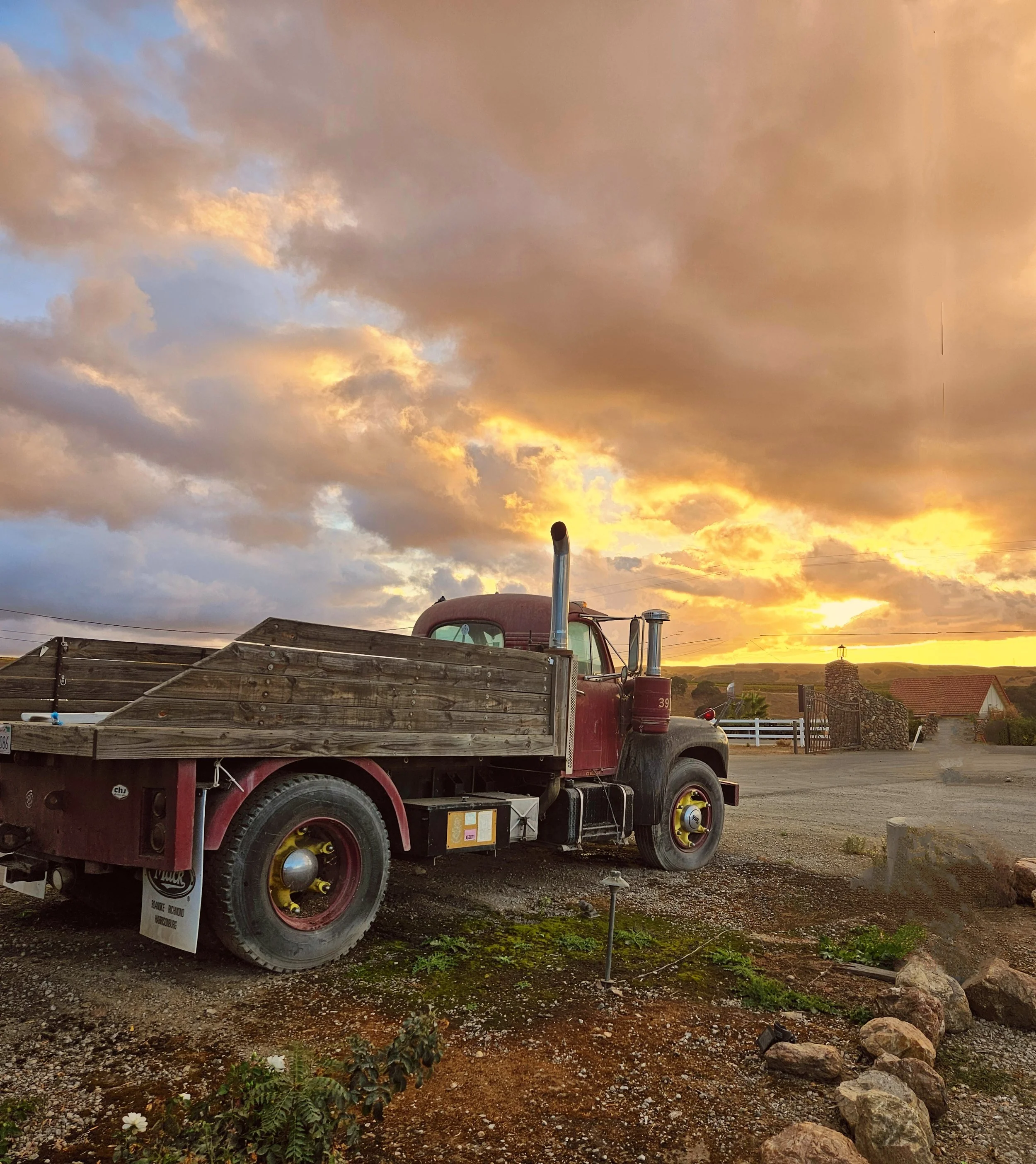 How to Set Up Google Business Profile for a Farm Stand (Step-by-Step Guide)