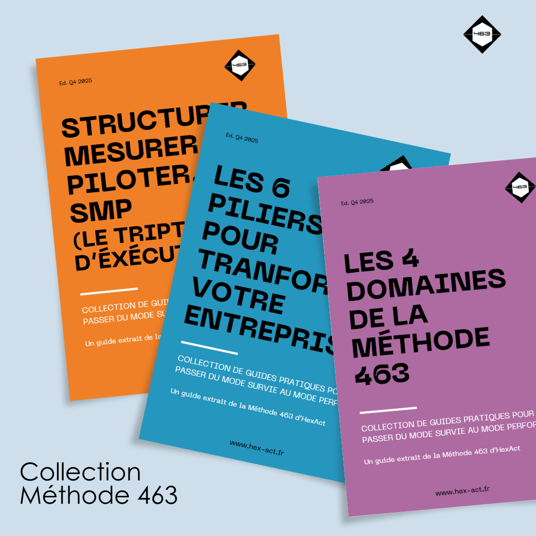 3 Guides COllection Méthode 463
