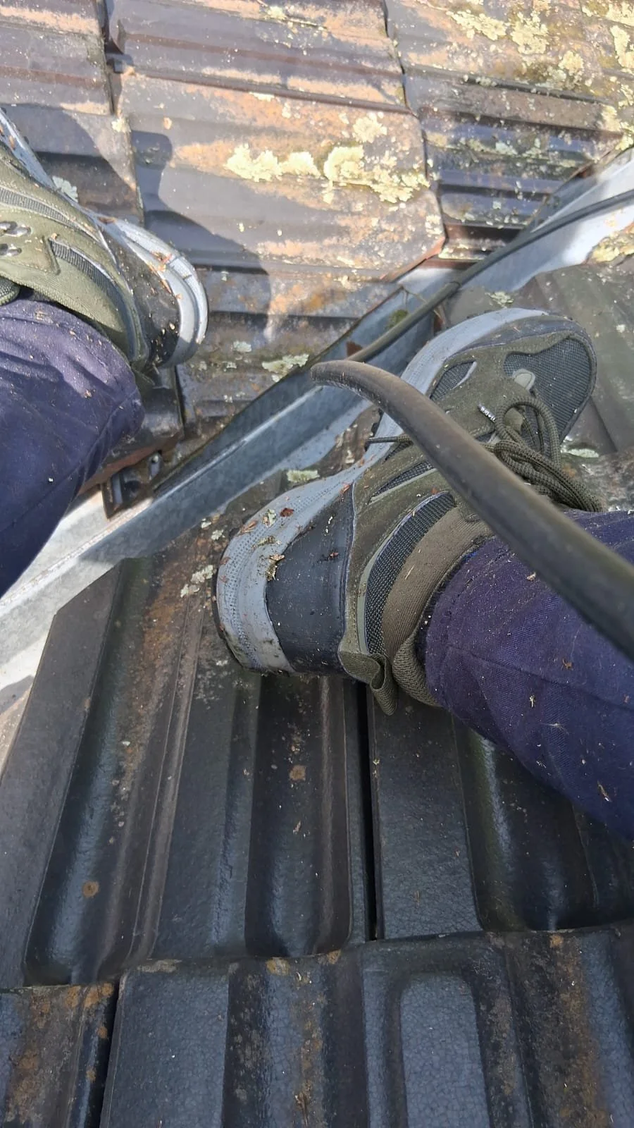 WhatsApp Image 2025-10-13 at 10.16.51 PM.jpeg