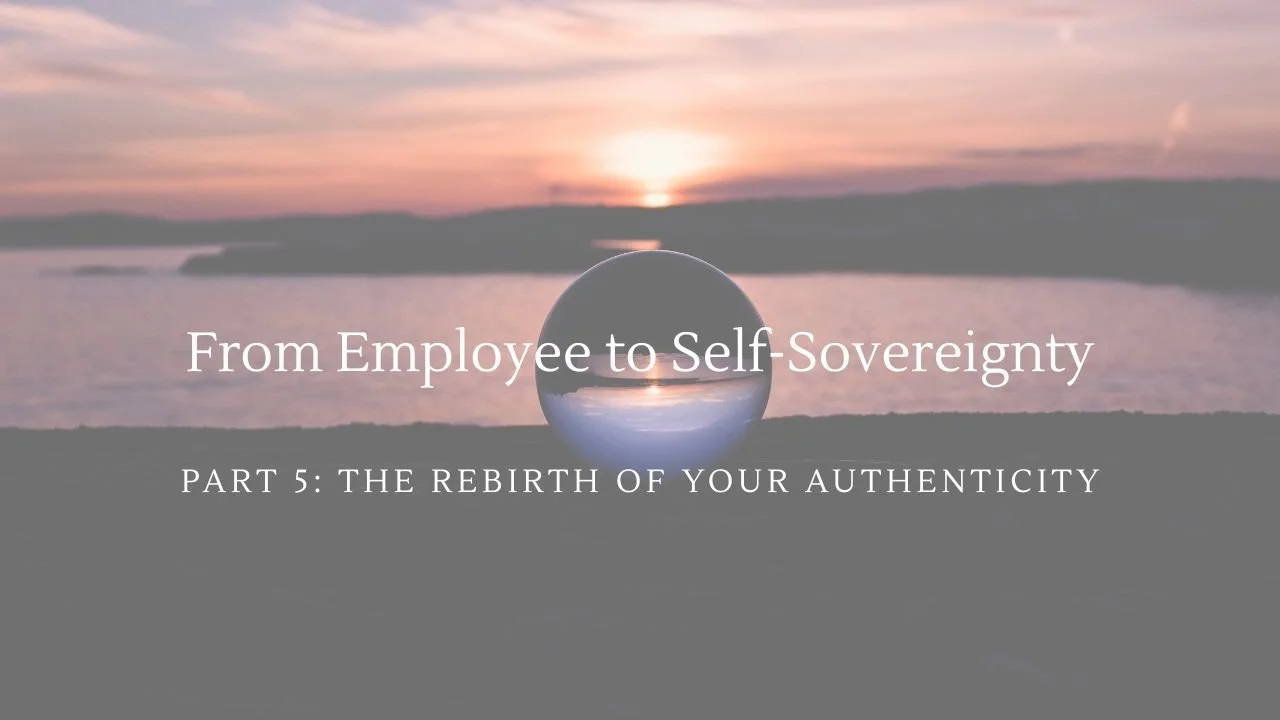 The Rebirth: Building Authentic Business as a Sensitive Creative: Financial Reality + Real Frameworks