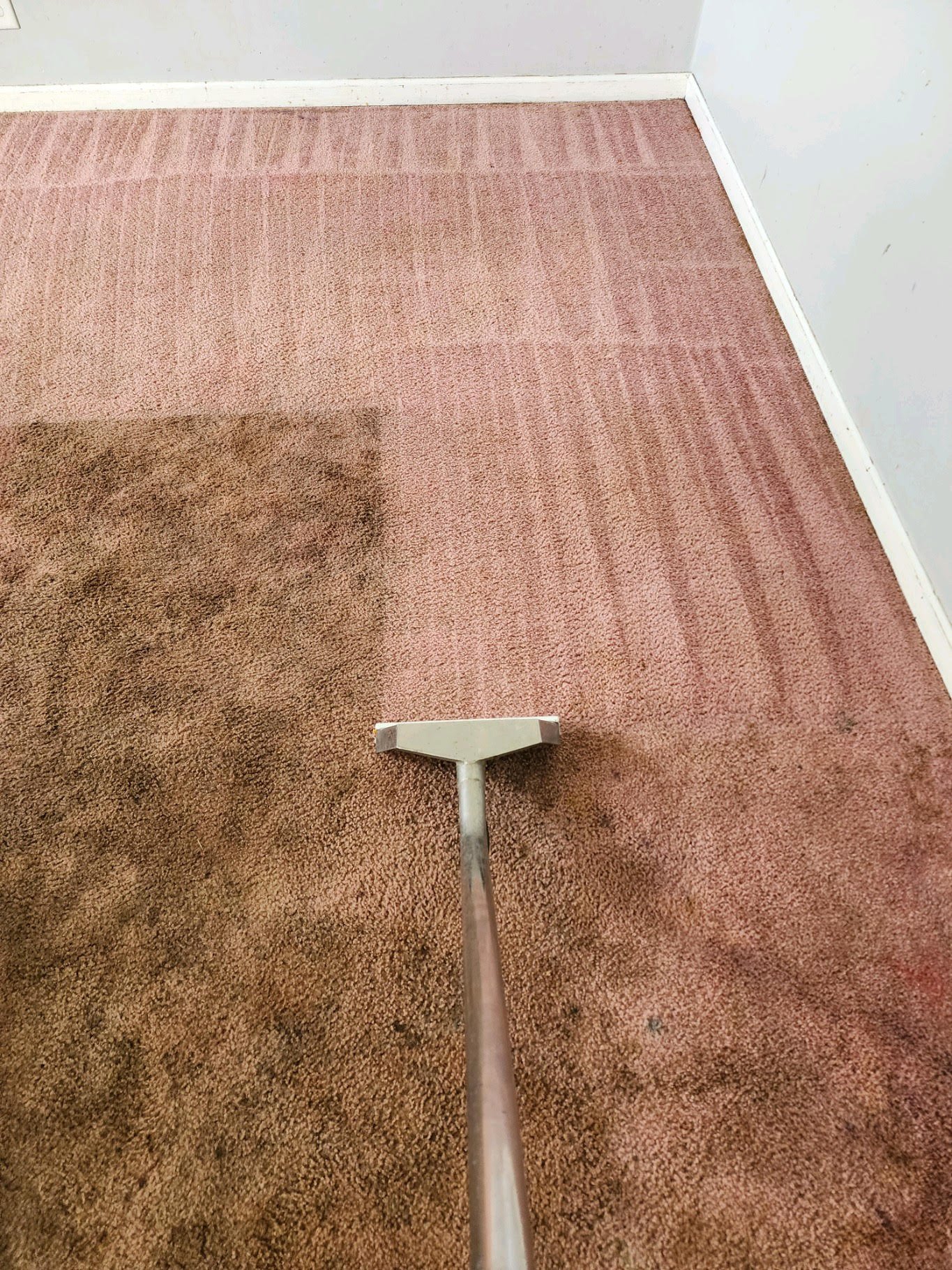 carpet.jpg