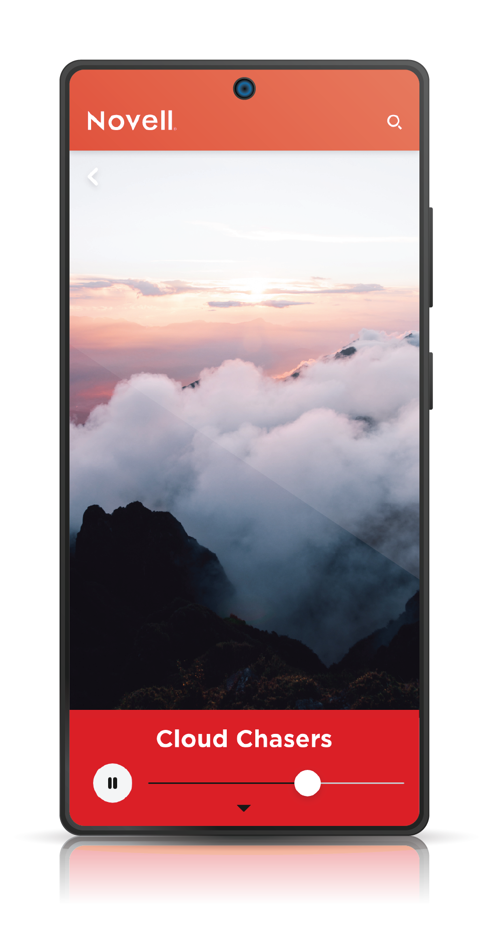 Novell - Asset Play.png