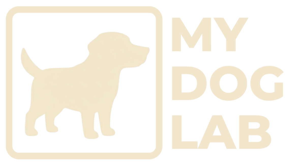MY DOG LAB