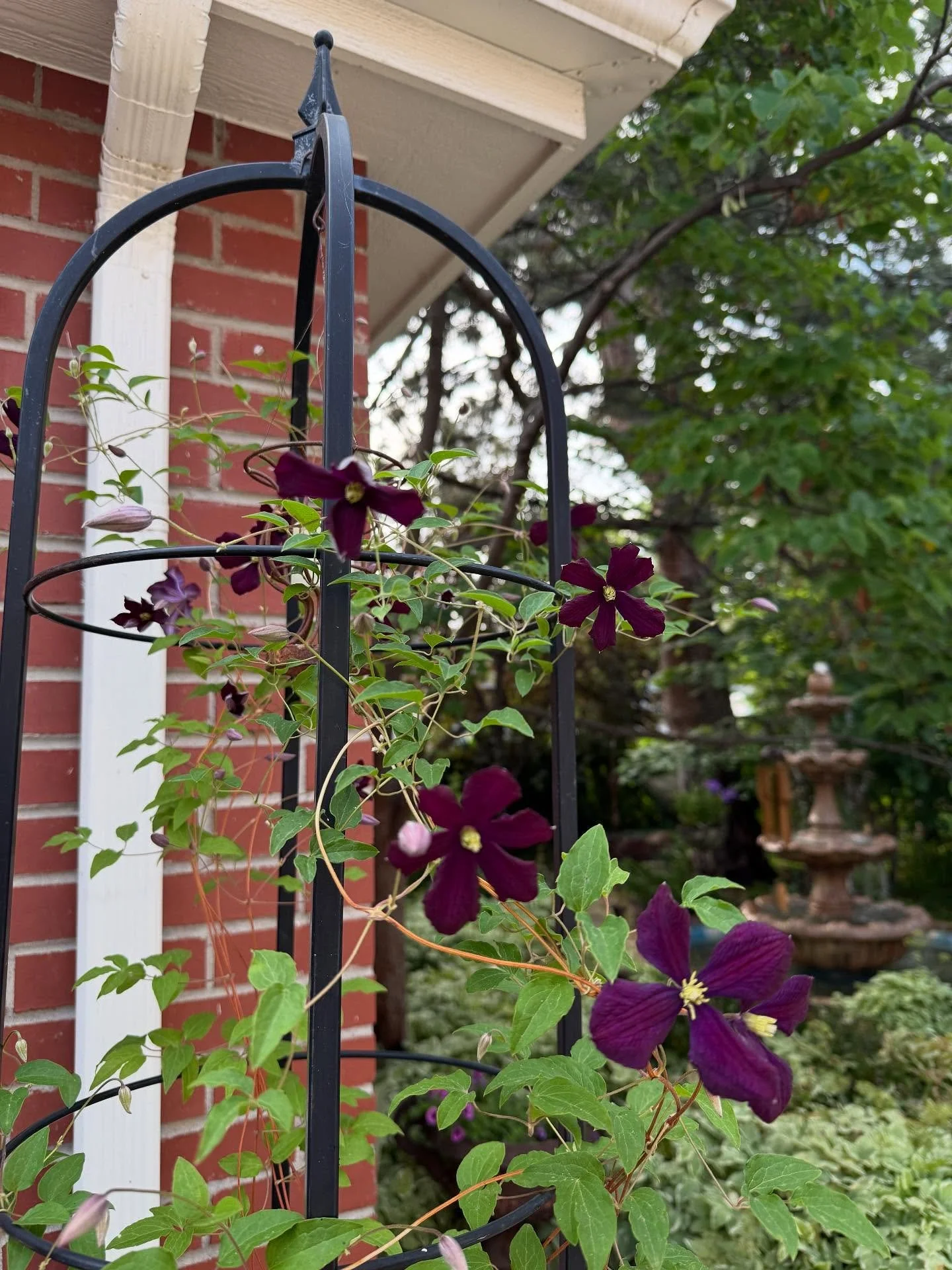 It&rsquo;s the day after The Machete Gardening Incident. Don&rsquo;t worry: he&rsquo;s fine now after a somewhat complicated visit to the ER. It was more blood than I&rsquo;ve ever seen before. Apparently husbands taking care of weeds with machetes i