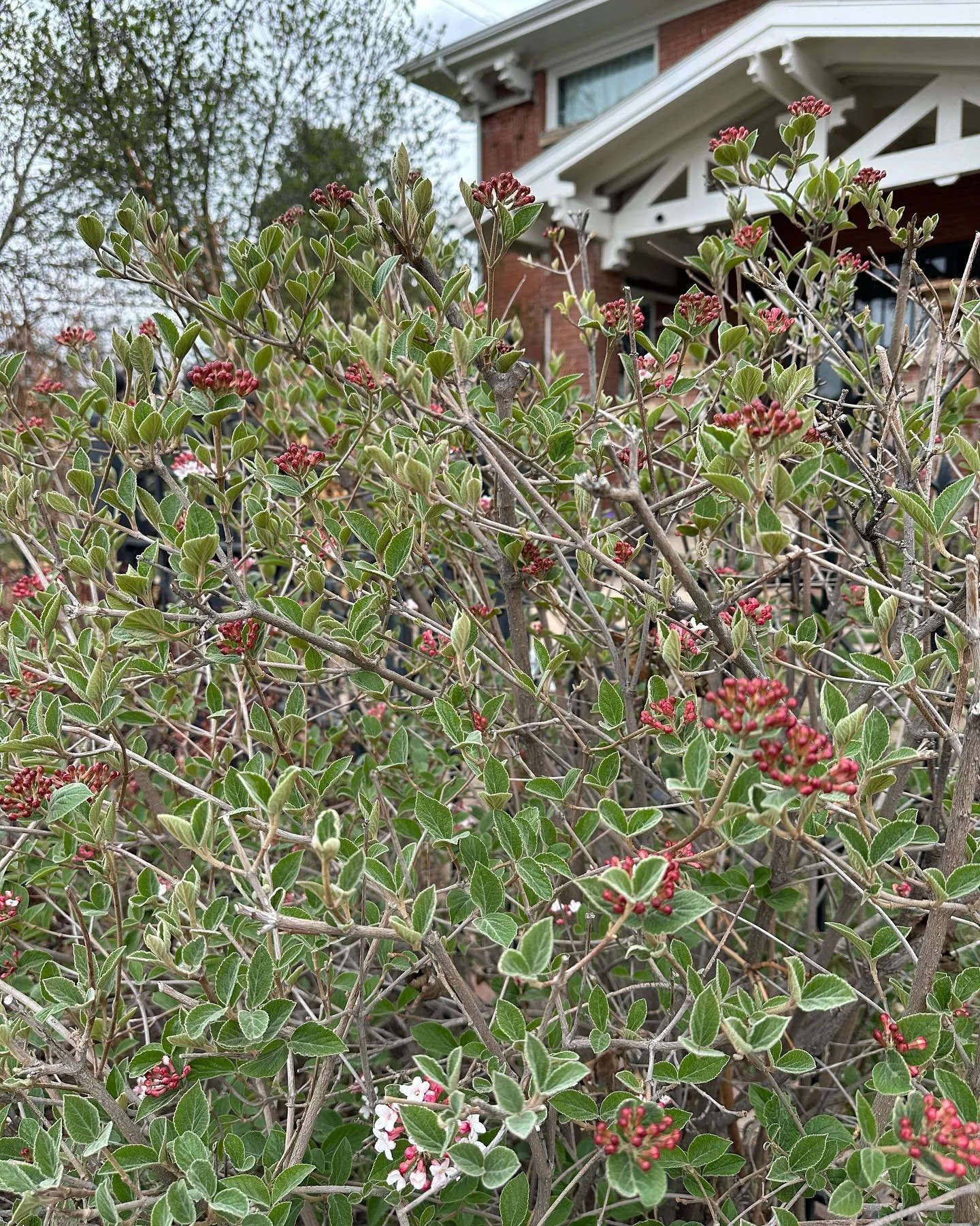 Happy Earth Day. 

May you treat yourself, your home, and our collective home with all of the love we all deserve.