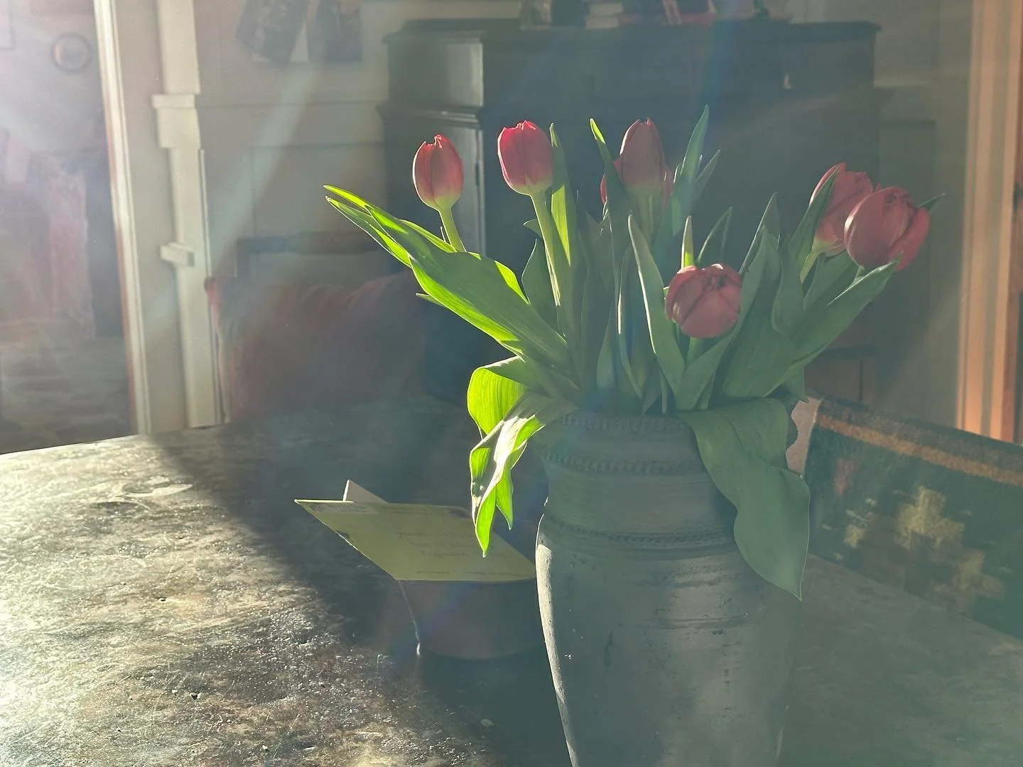 Like these tulips, I can *feel* Spring. I can feel the newness. The light. The growth. 

Wishing you these things as you navigate today. 

💕