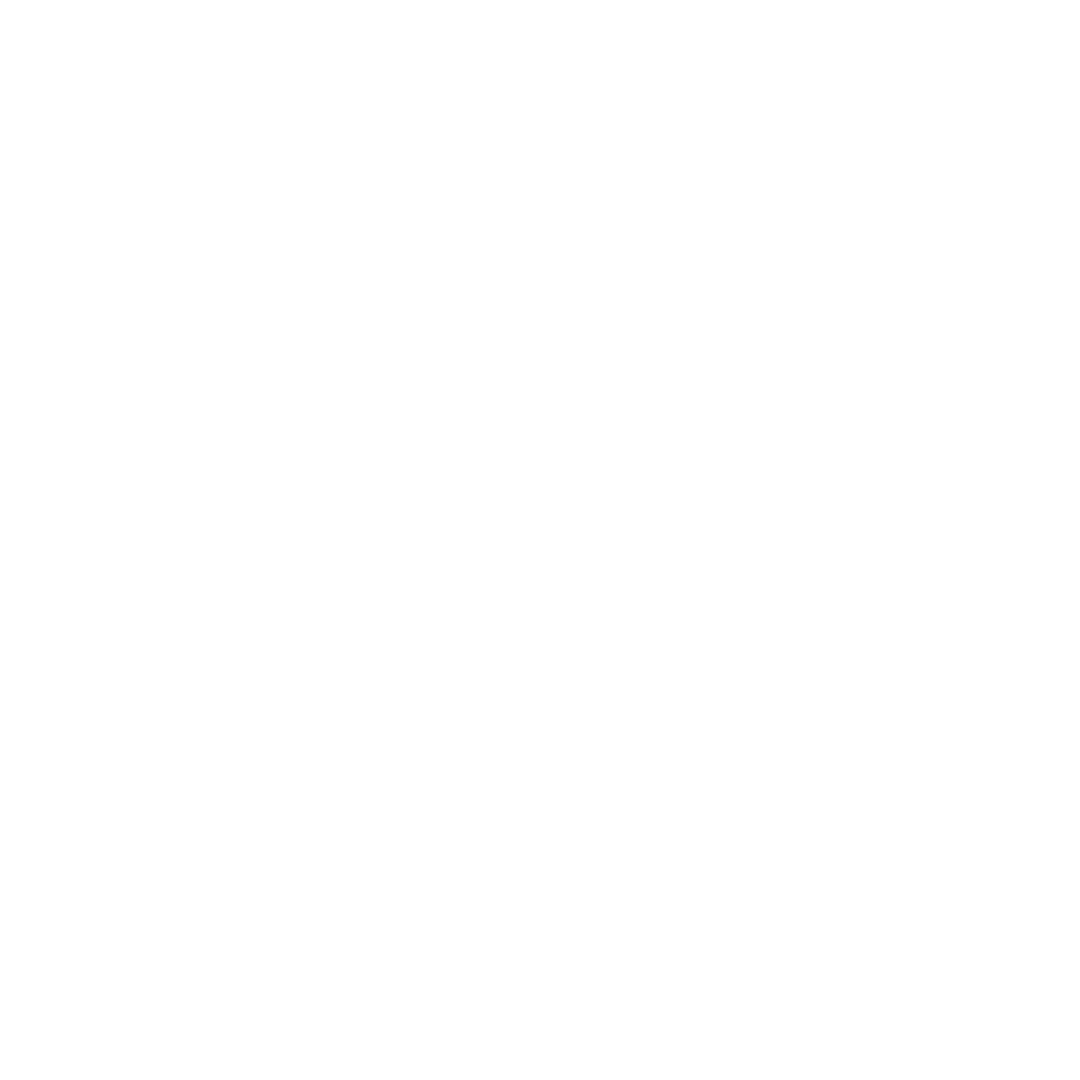 Lily's Portfolio