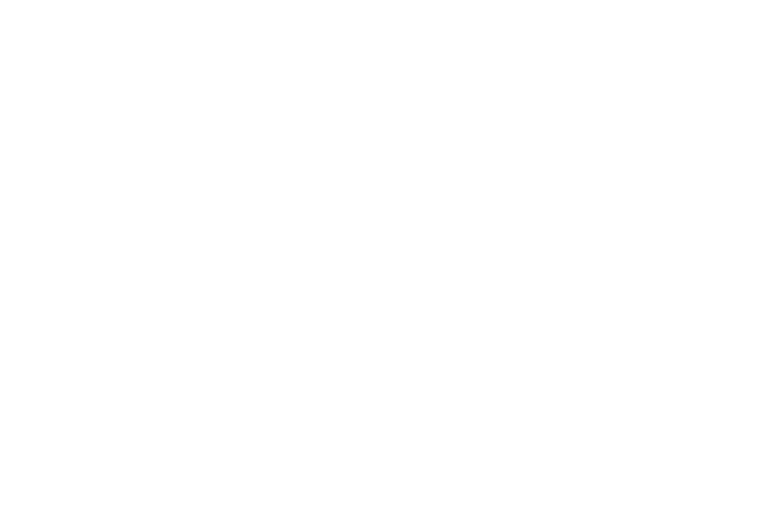 Lily's Portfolio
