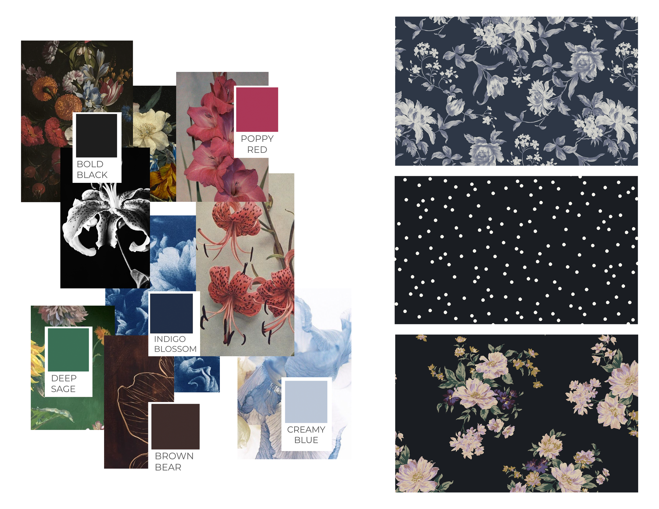 colors.png