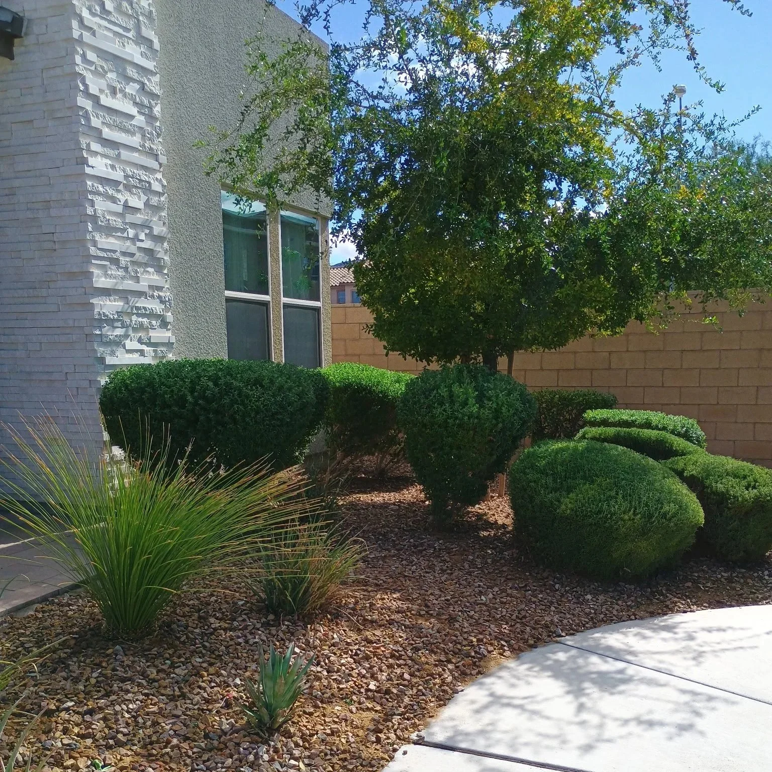 IMG_20251110_202043.jpg