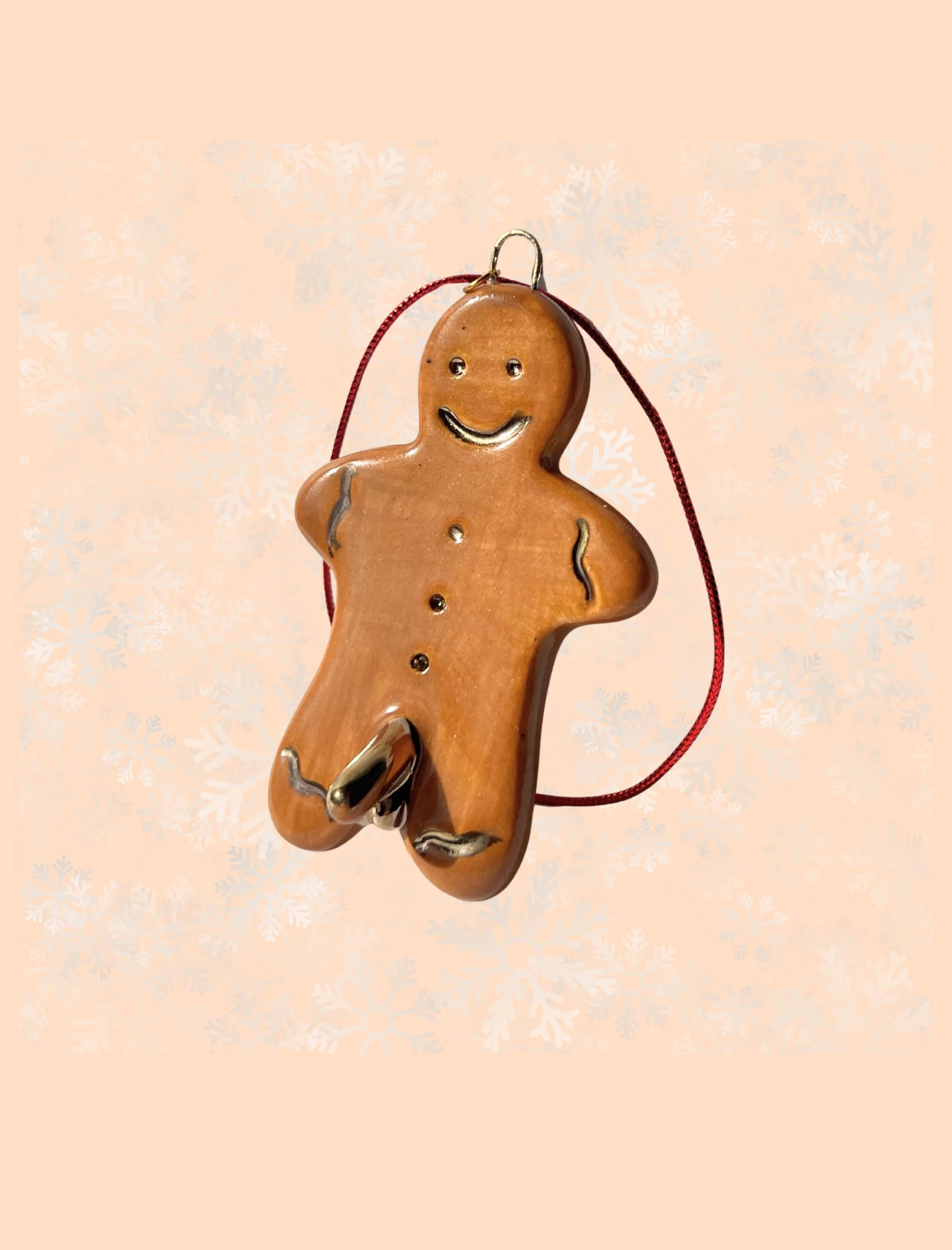 Gingerboy Ornament #14