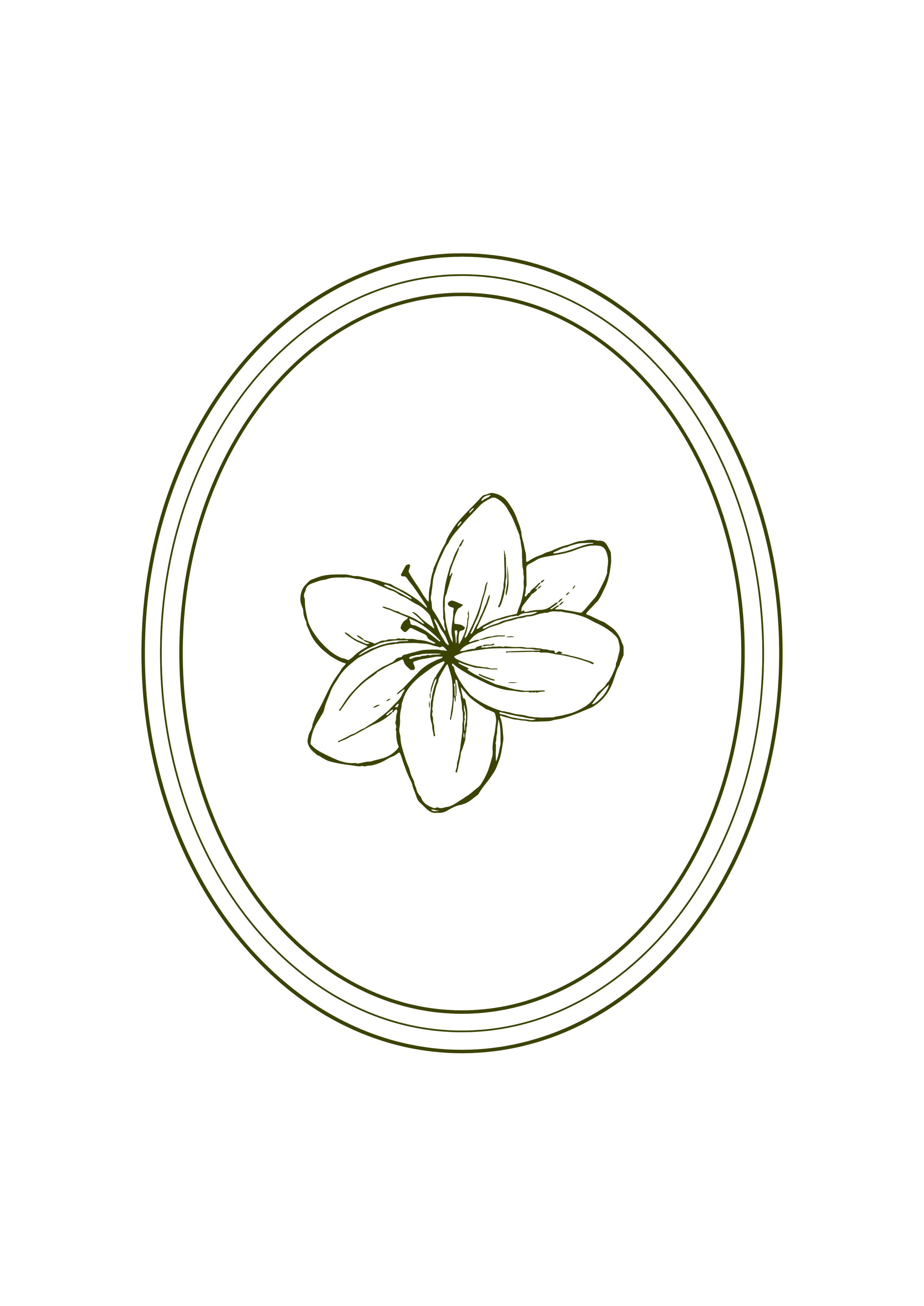 Line drawing of a flower inside an oval frame, with three concentric ovals surrounding it.