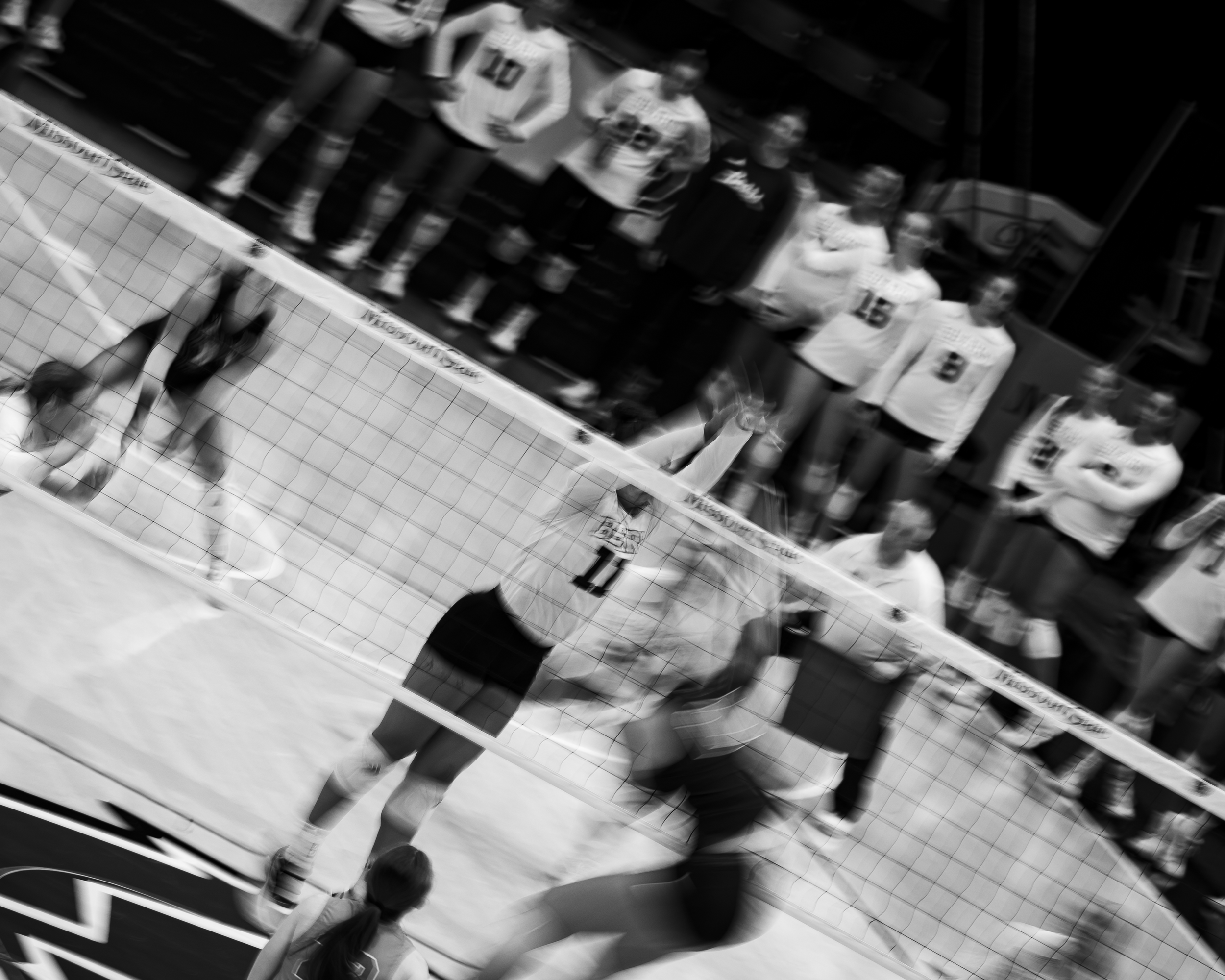 Missouri State Lady Bears Volleyball 