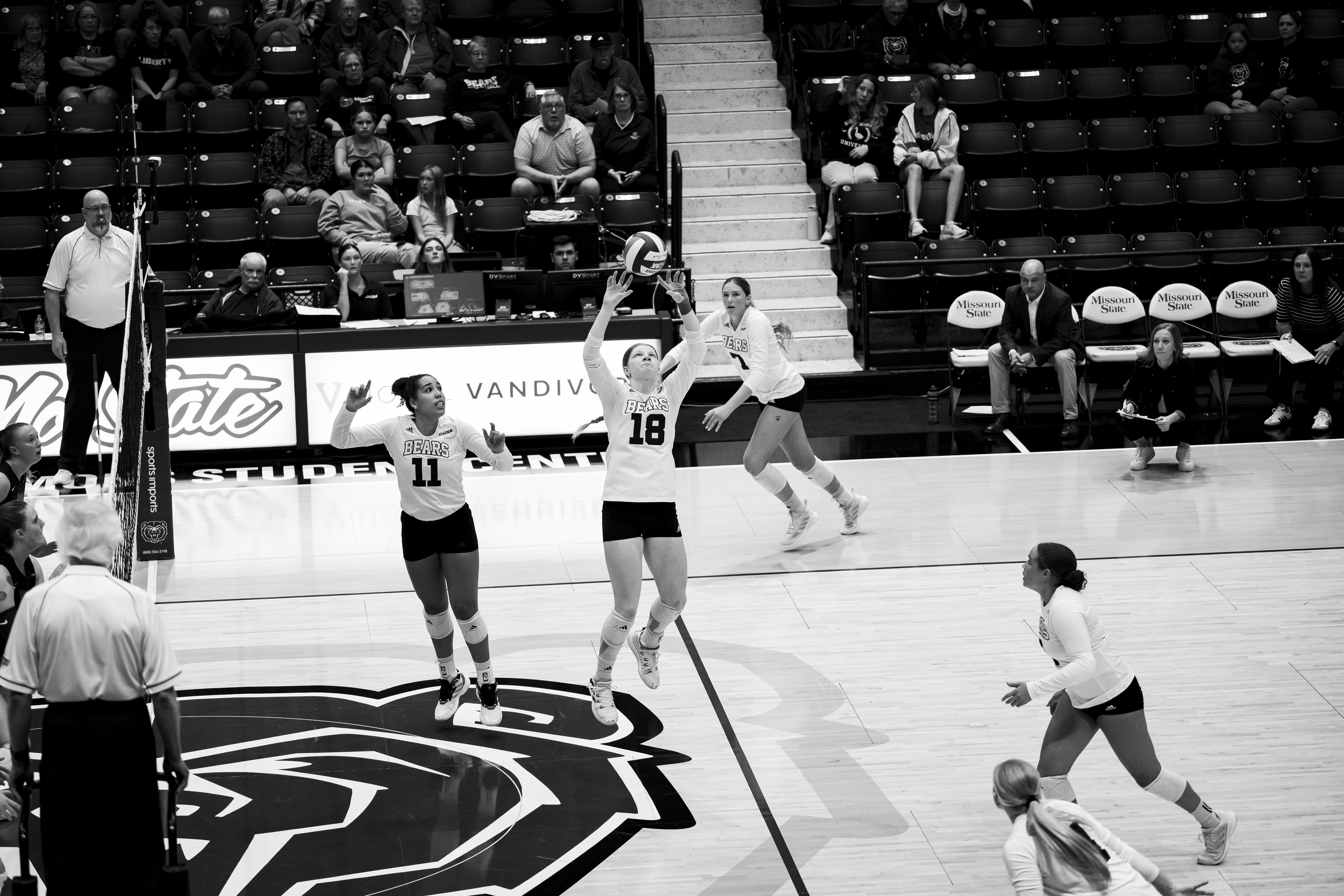 Missouri State Lady Bears Volleyball 