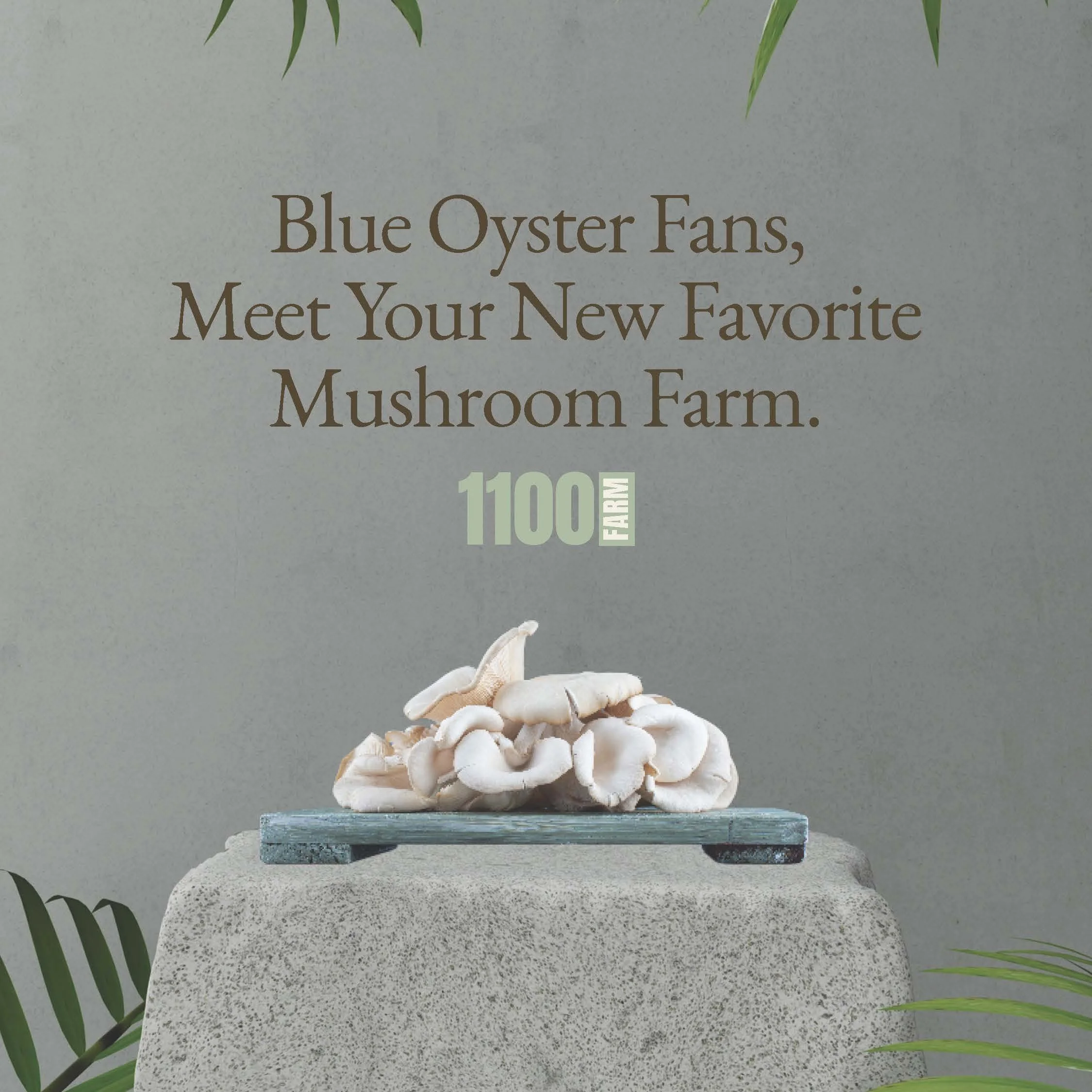 1100 FARM - 4 Conceptual Ads FINAL 1st DRAFT_Page_04.jpg
