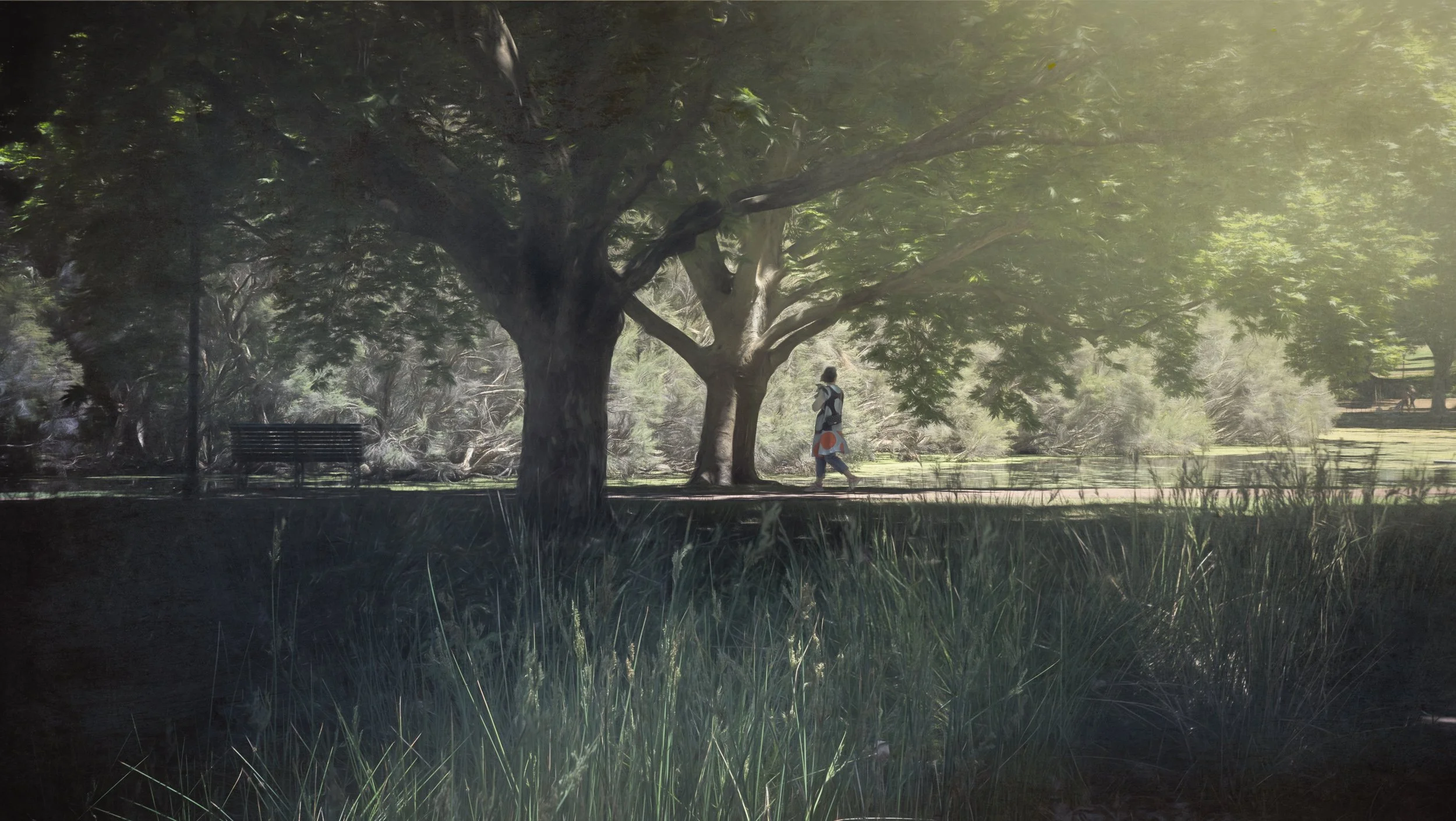 park-woman-walking-sunshine.jpg