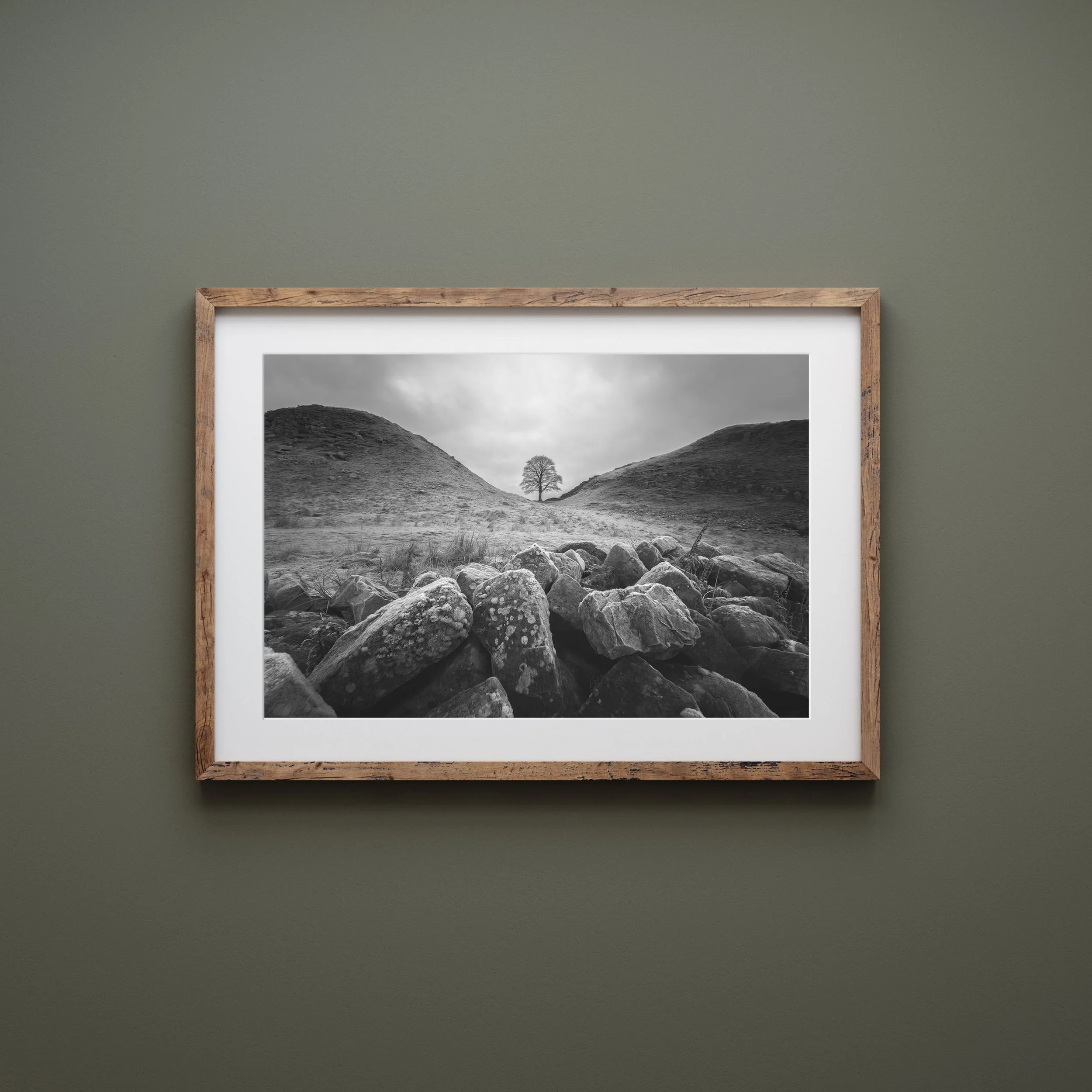 sycamore-gap-phgotograph-framed.jpeg