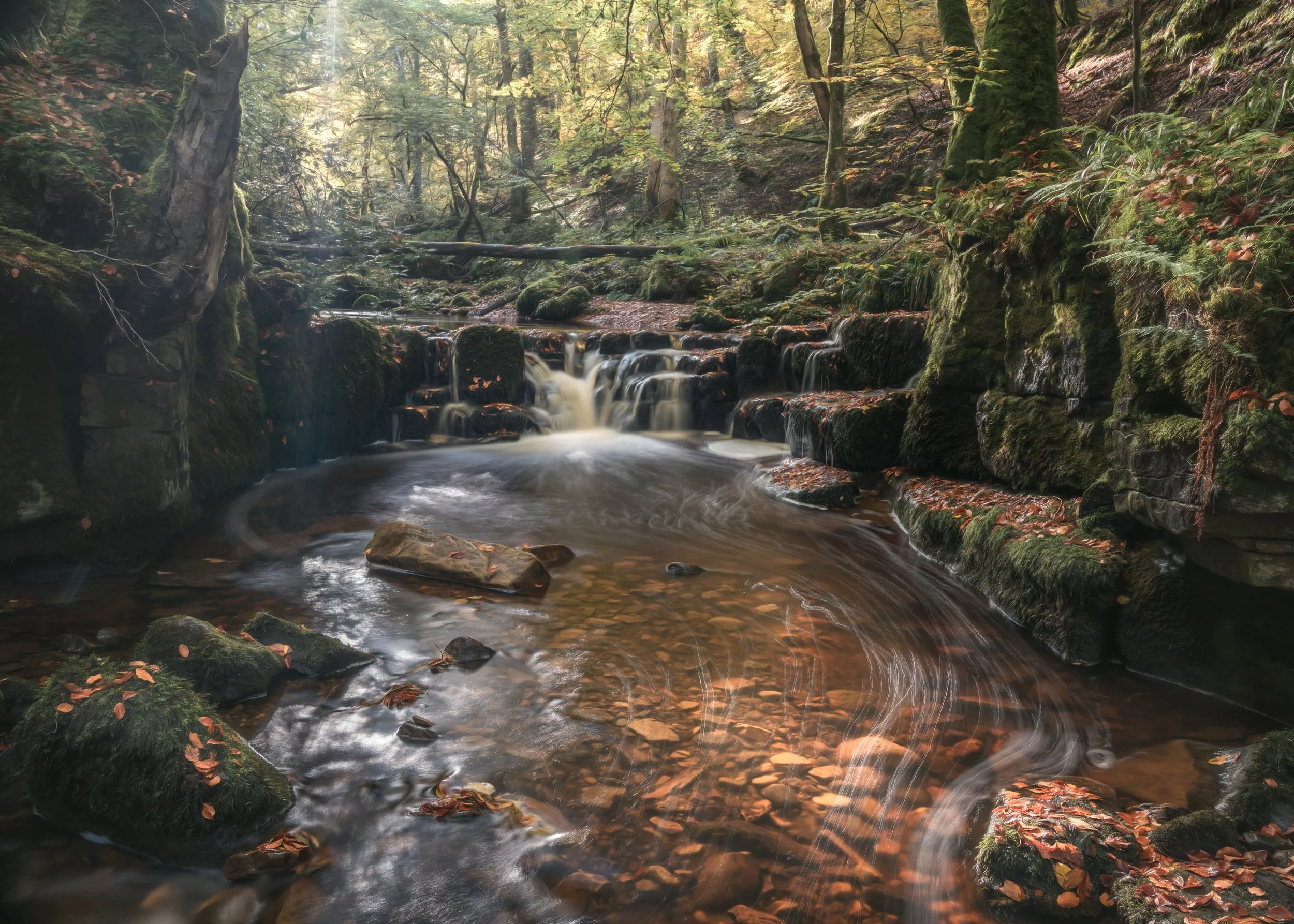 stream-pool-waterfall-woodland.jpg
