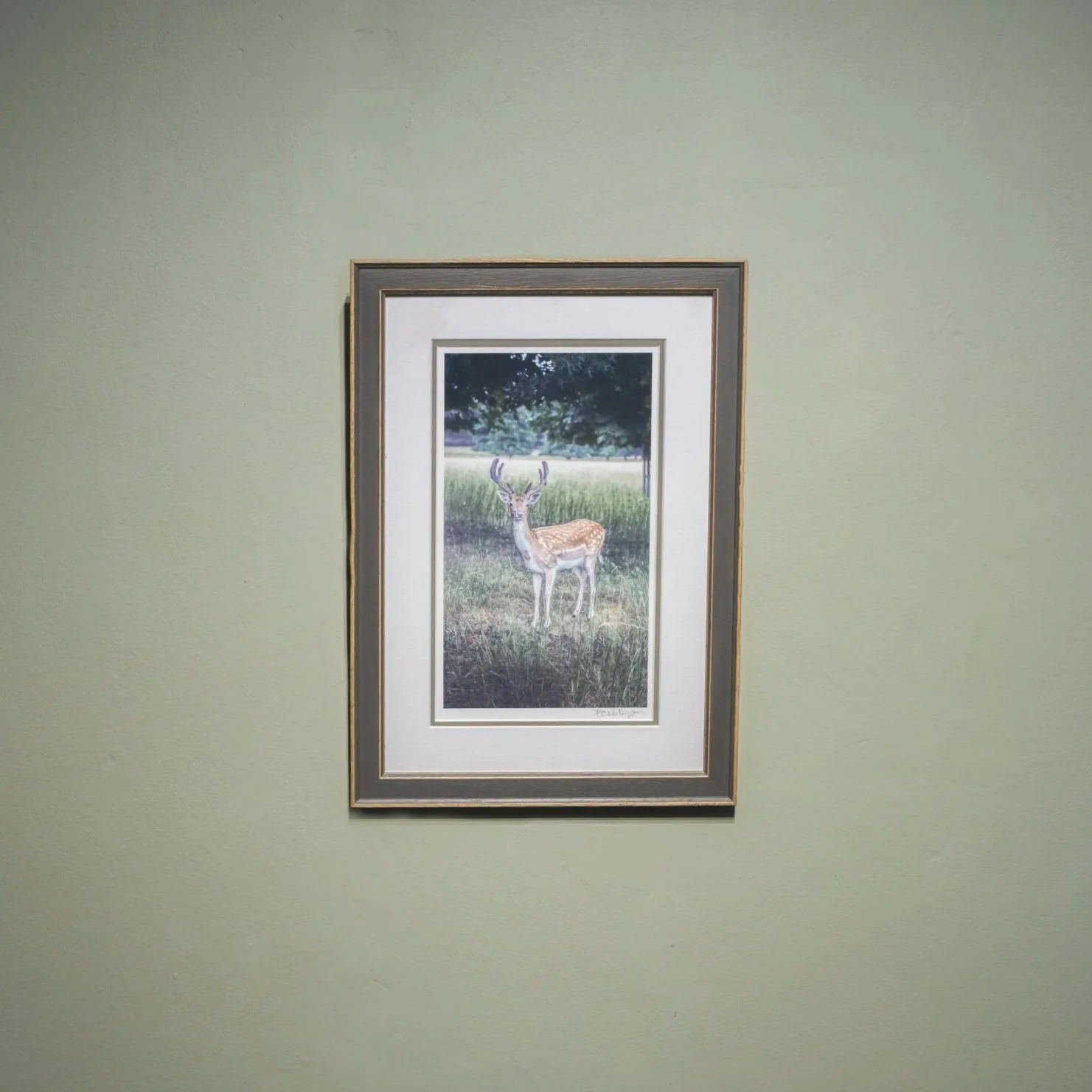 Framed-piece-wynd-gallery-.jpg